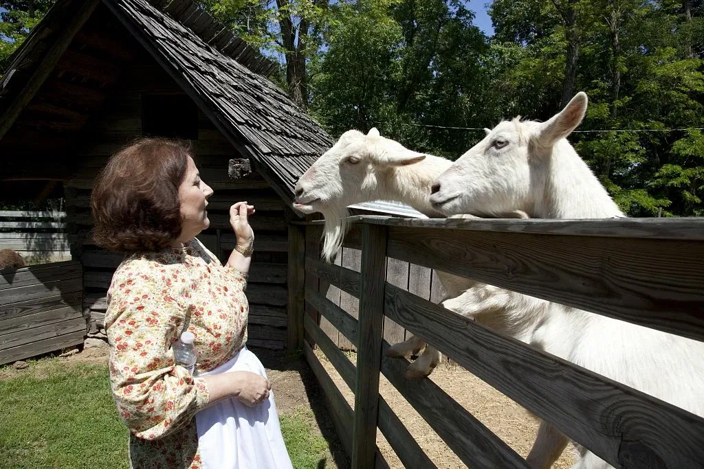 Burritt on the Mountain