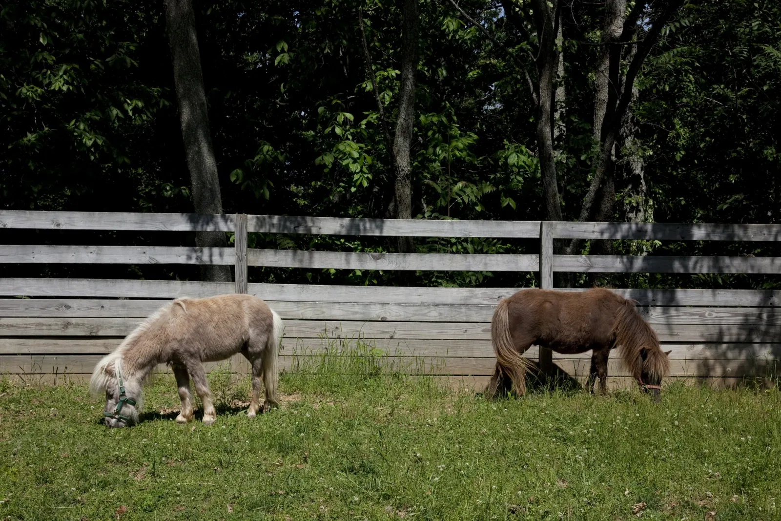 Burritt on the Mountain