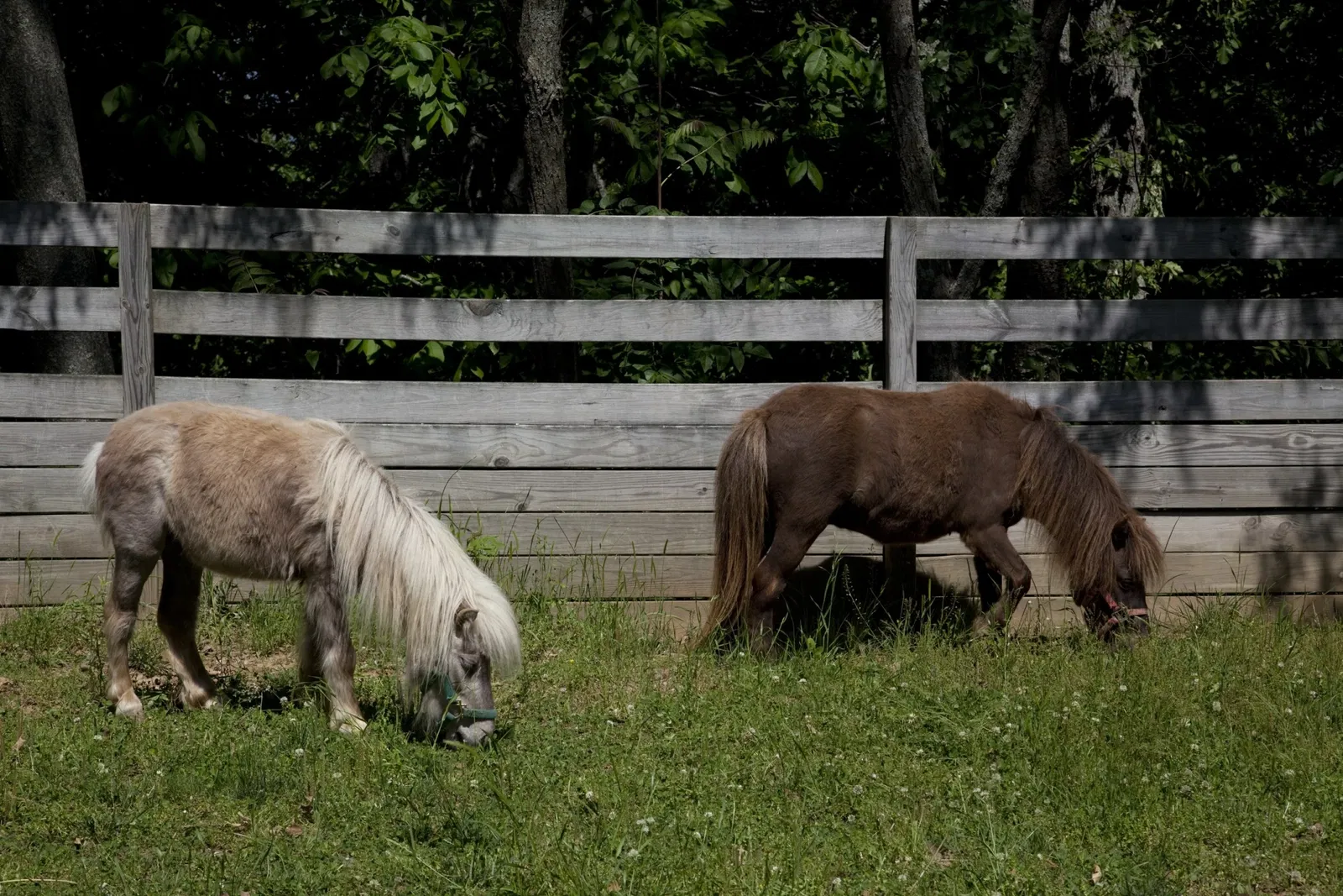 Burritt on the Mountain
