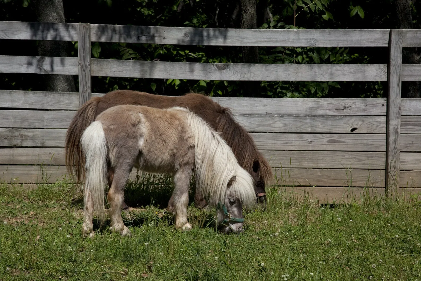 Burritt on the Mountain
