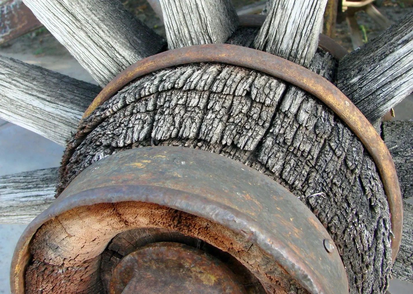 The San Bernardino County Museum