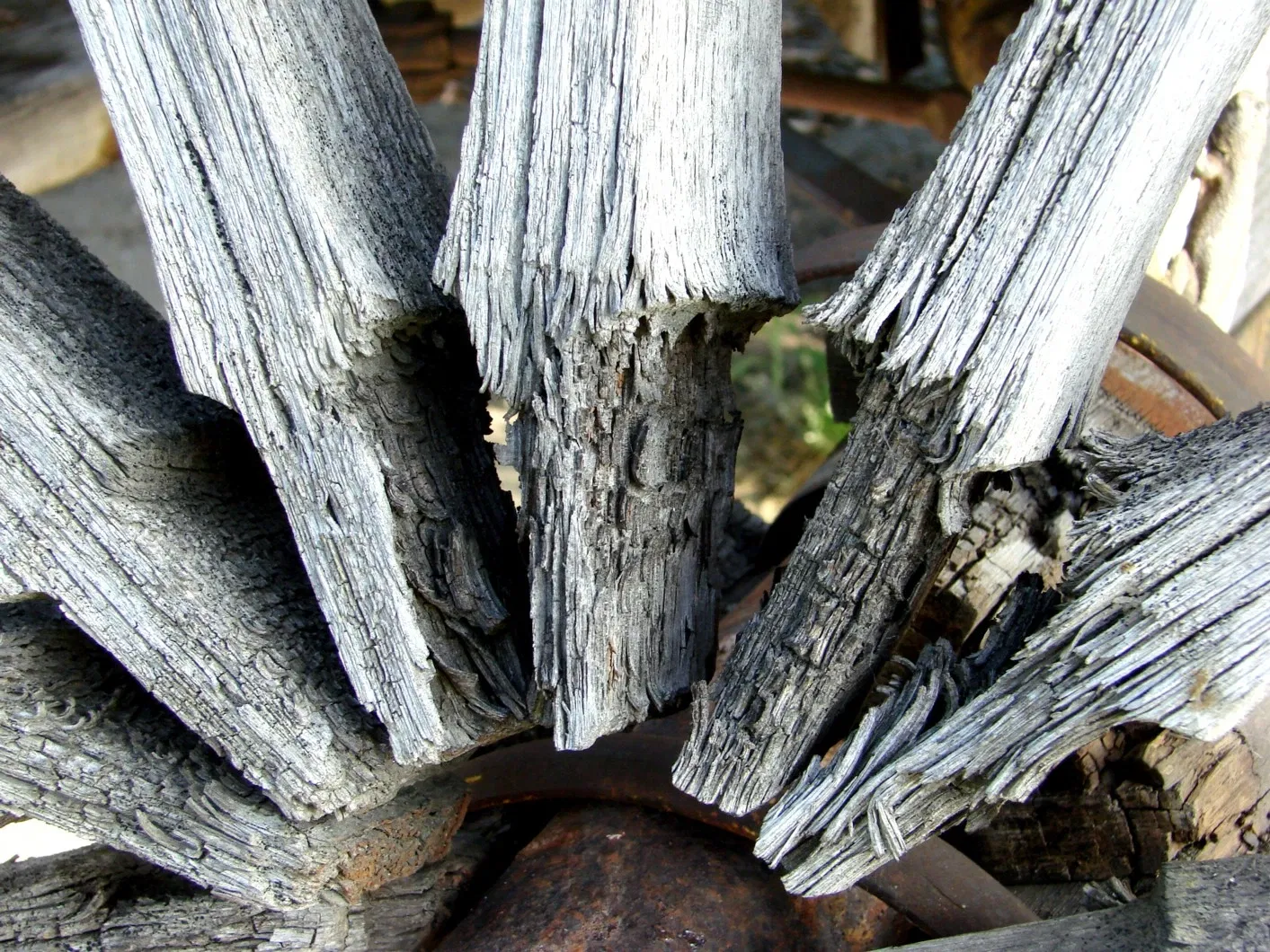 The San Bernardino County Museum