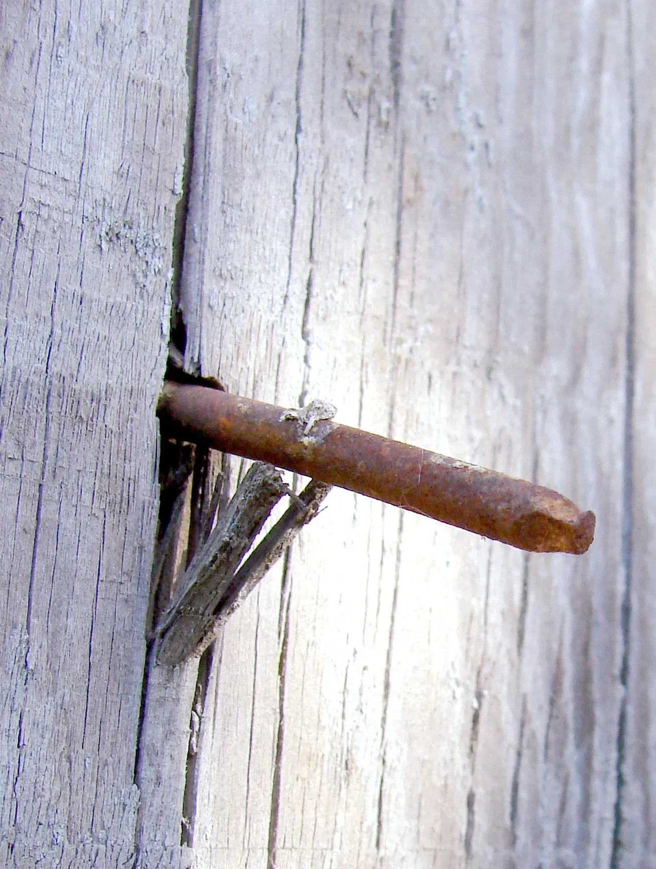 The San Bernardino County Museum