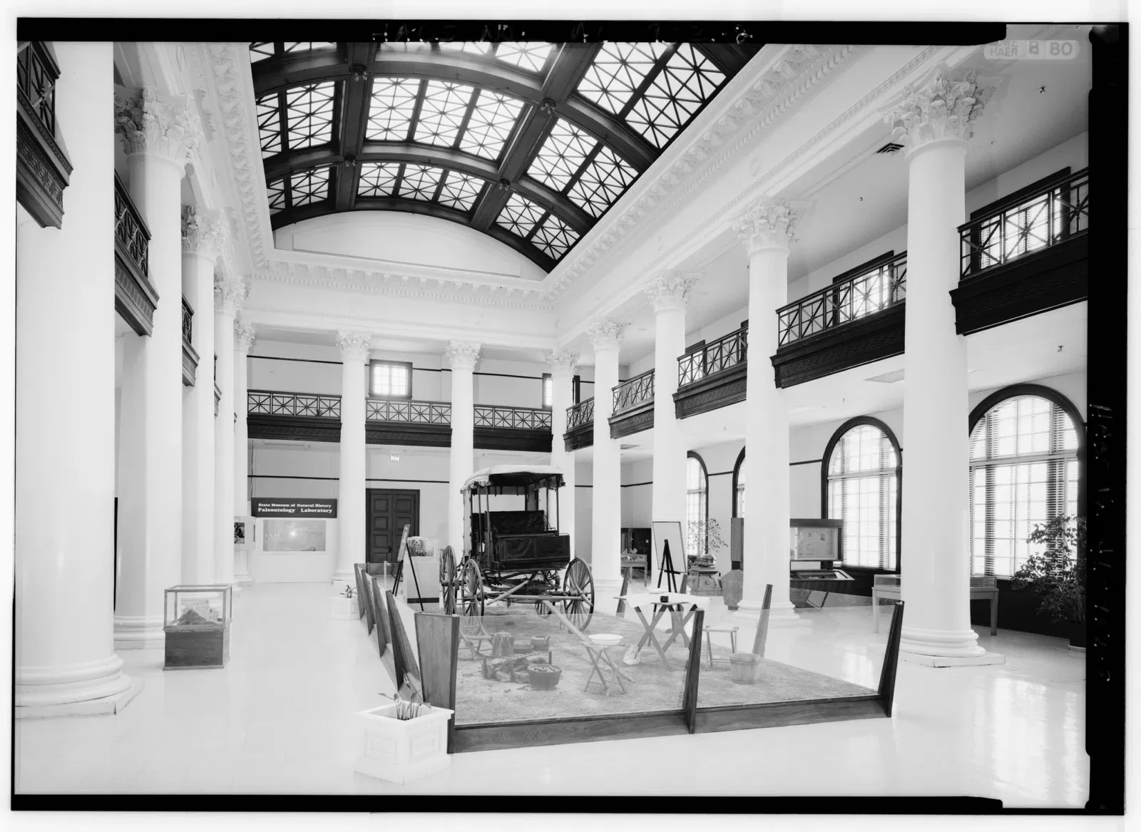 Alabama Museum of Natural History