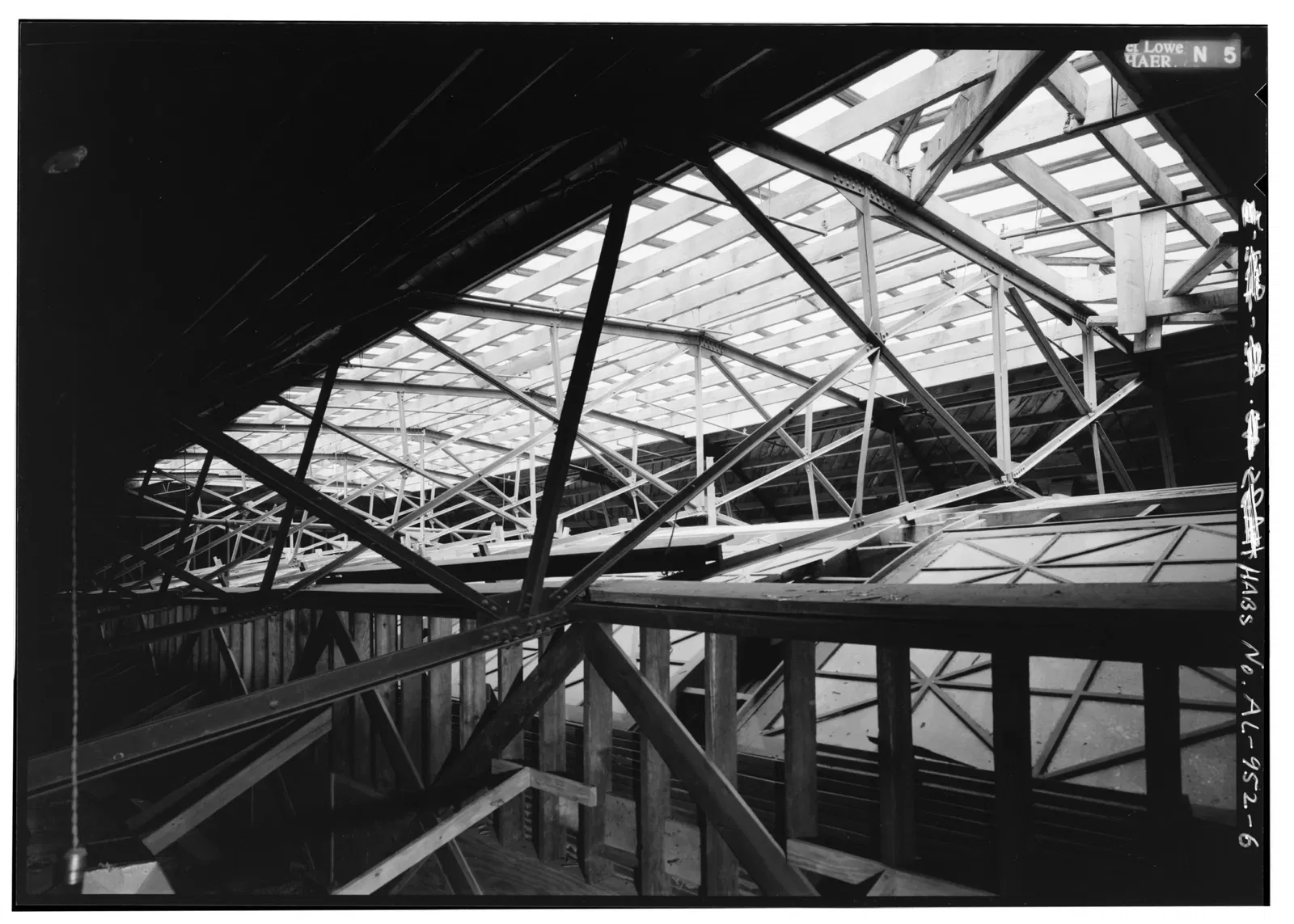 Alabama Museum of Natural History