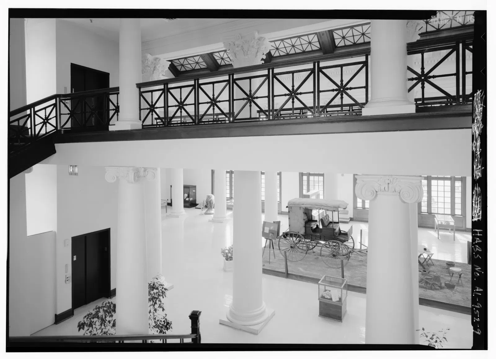 Alabama Museum of Natural History