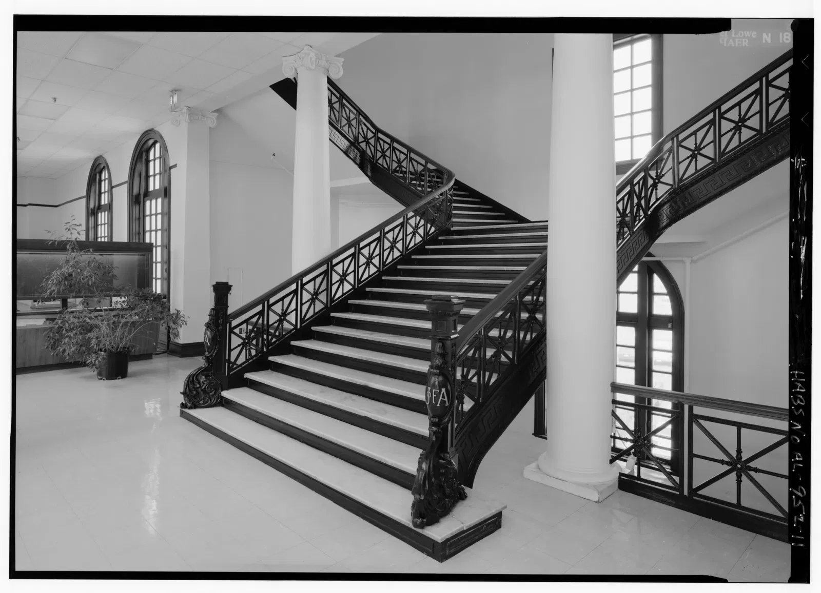 Alabama Museum of Natural History