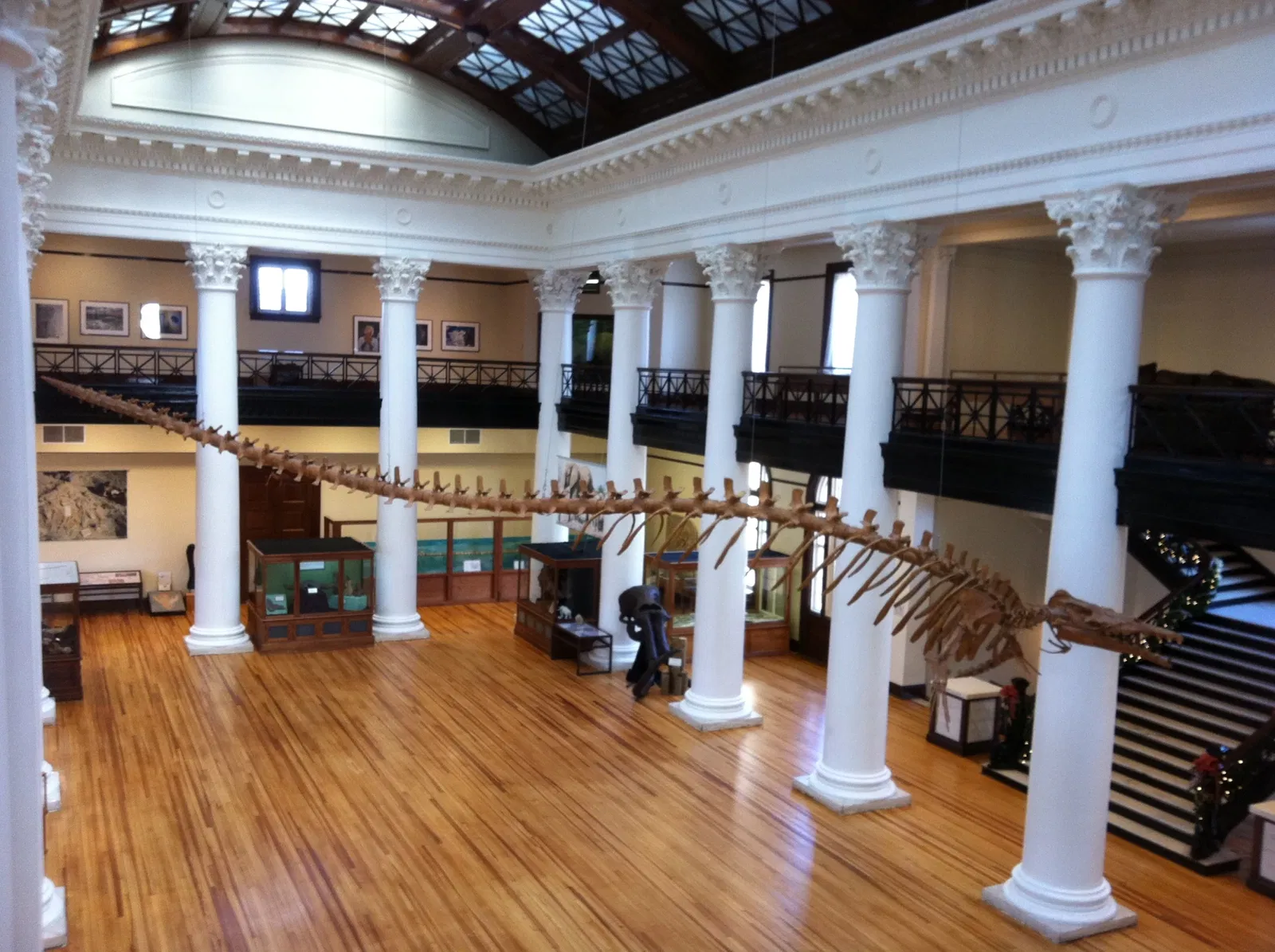 Alabama Museum of Natural History