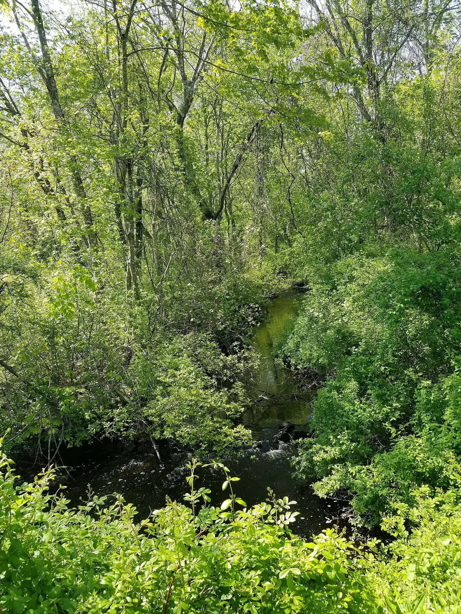 Smith’s Castle at Cocumscussoc