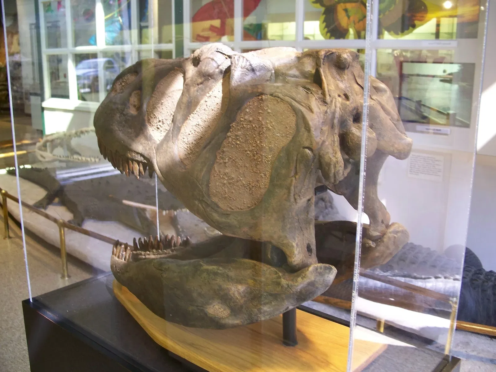 Silver River Museum and Environmental Education Center