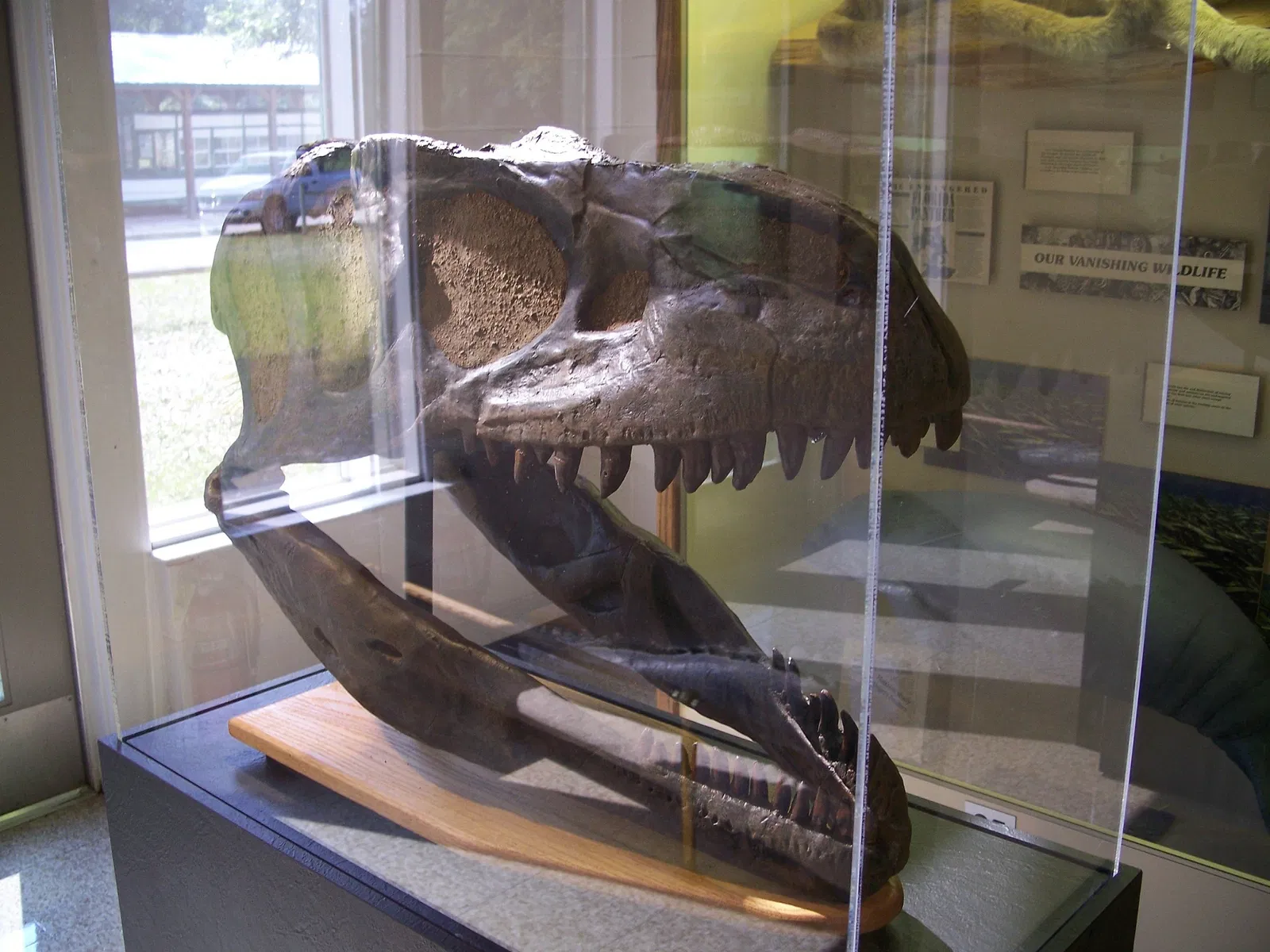 Silver River Museum and Environmental Education Center