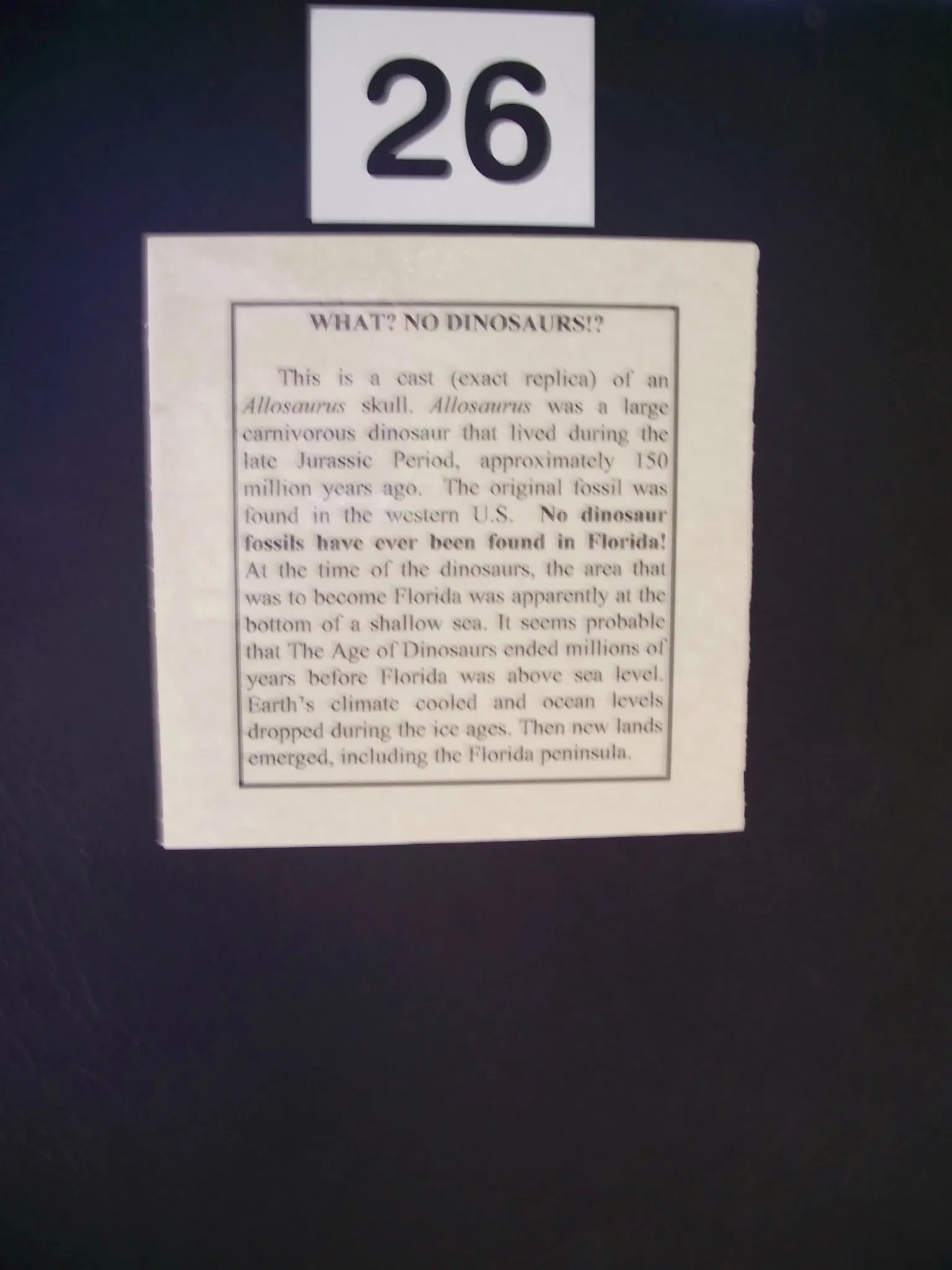 Silver River Museum and Environmental Education Center