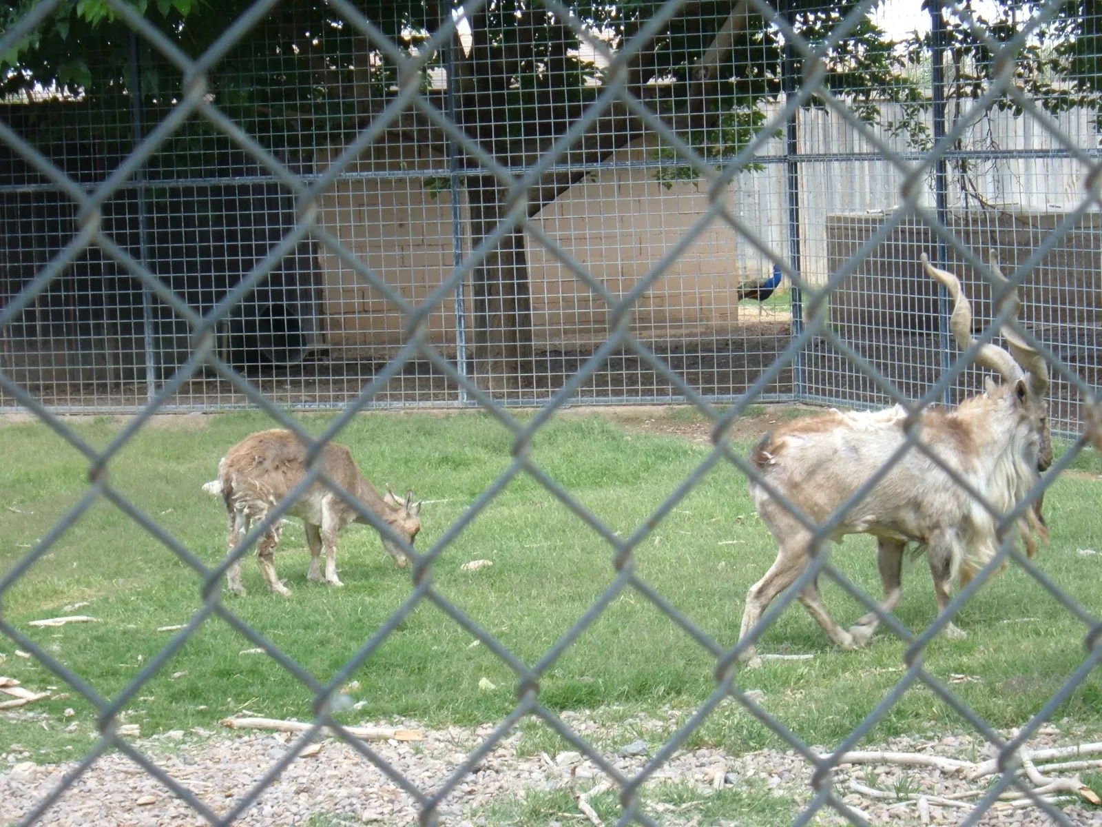 Parque zoológico de Alameda