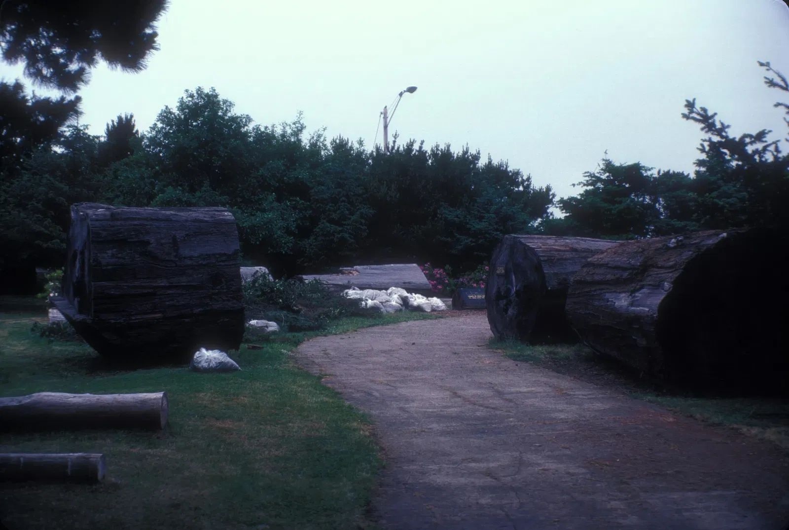 Fort Humboldt Museum
