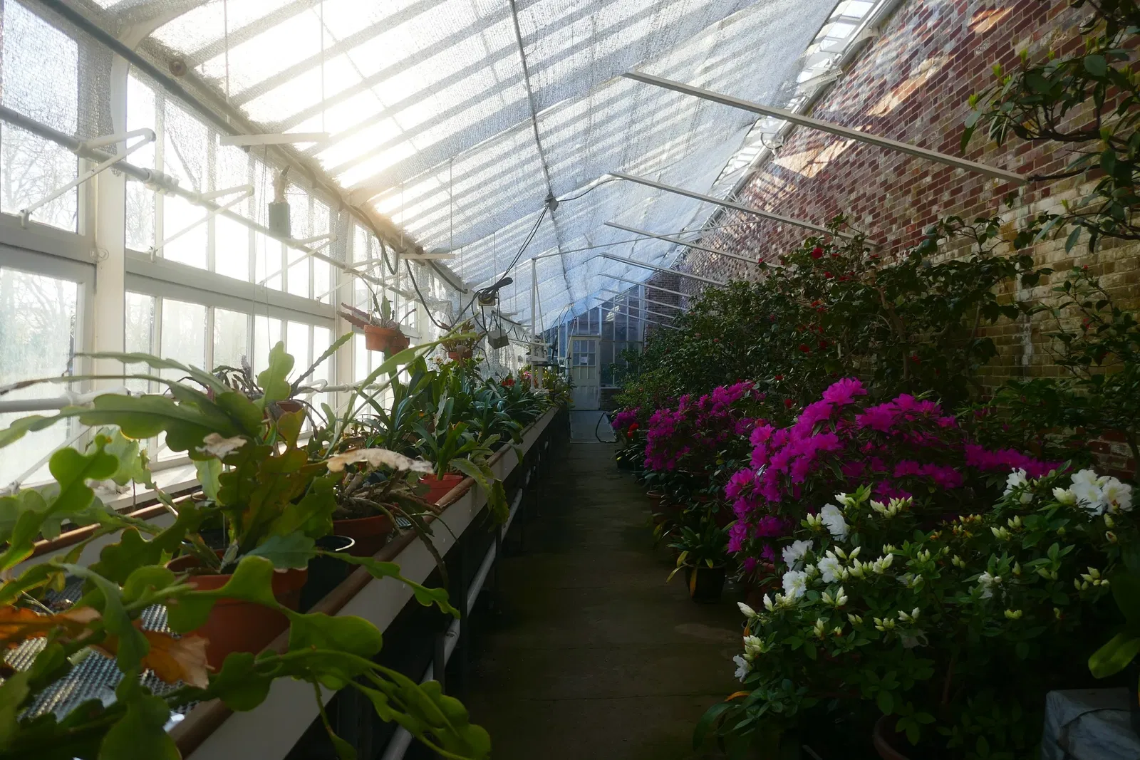 Lyman Estate Greenhouses