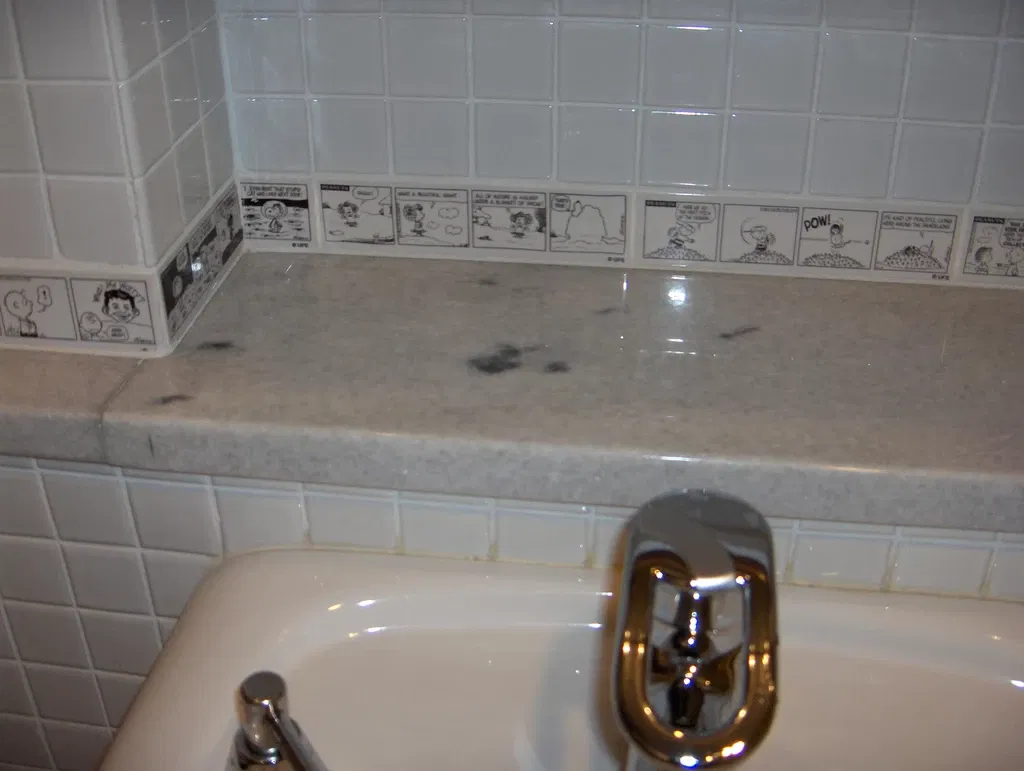 Charles M. Schulz Museum and Research Center