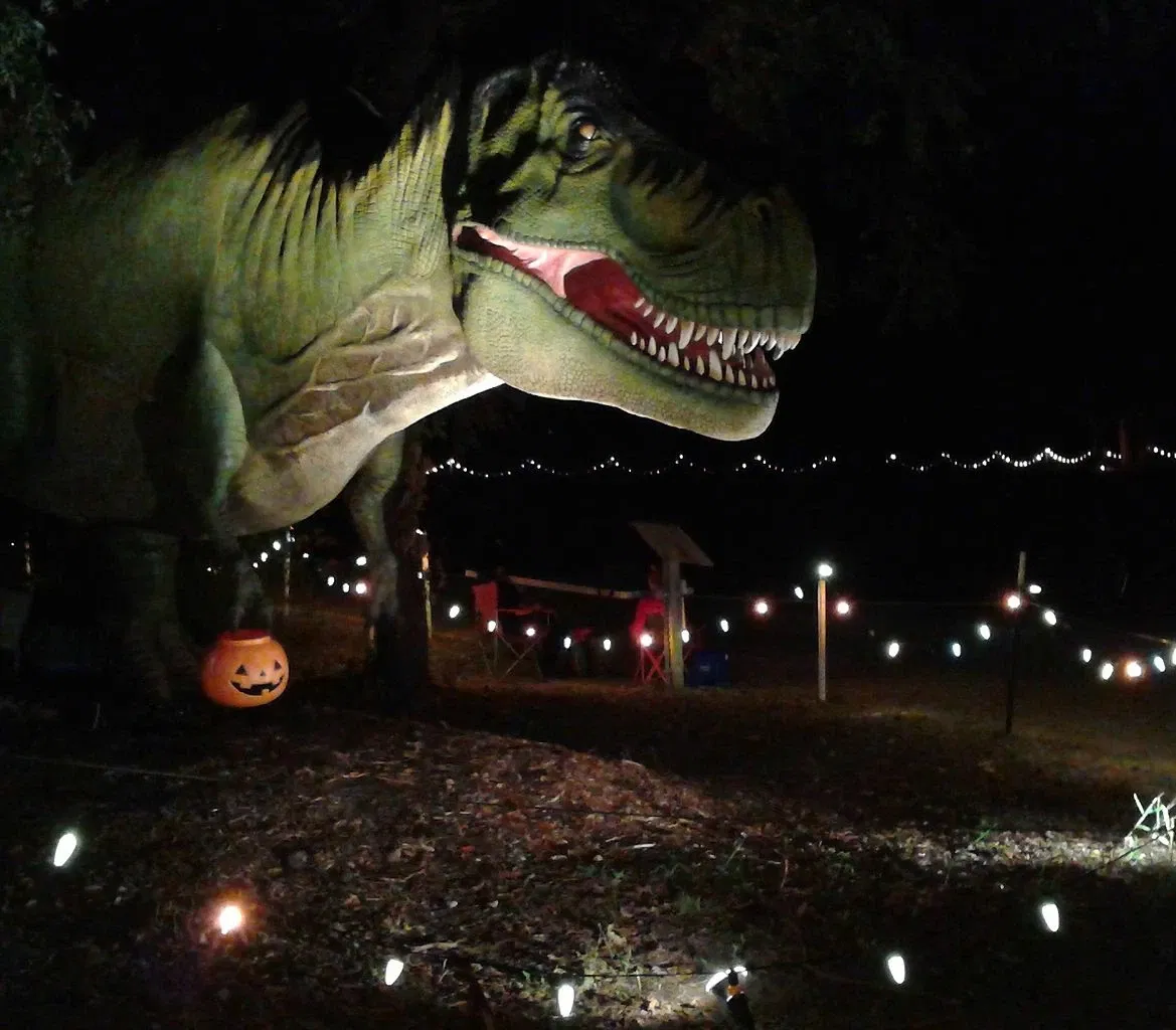 Heard Natural Science Museum & Sanctuary