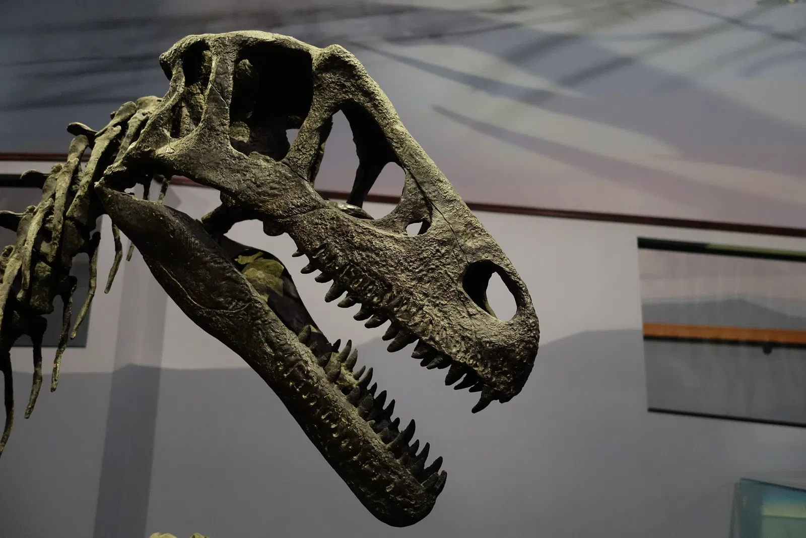 Museum of Ancient Life - Thanksgiving Point