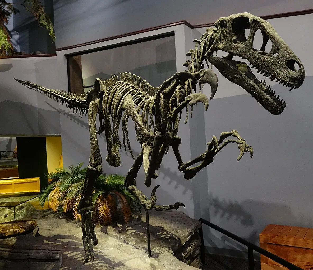 Museum of Ancient Life - Thanksgiving Point