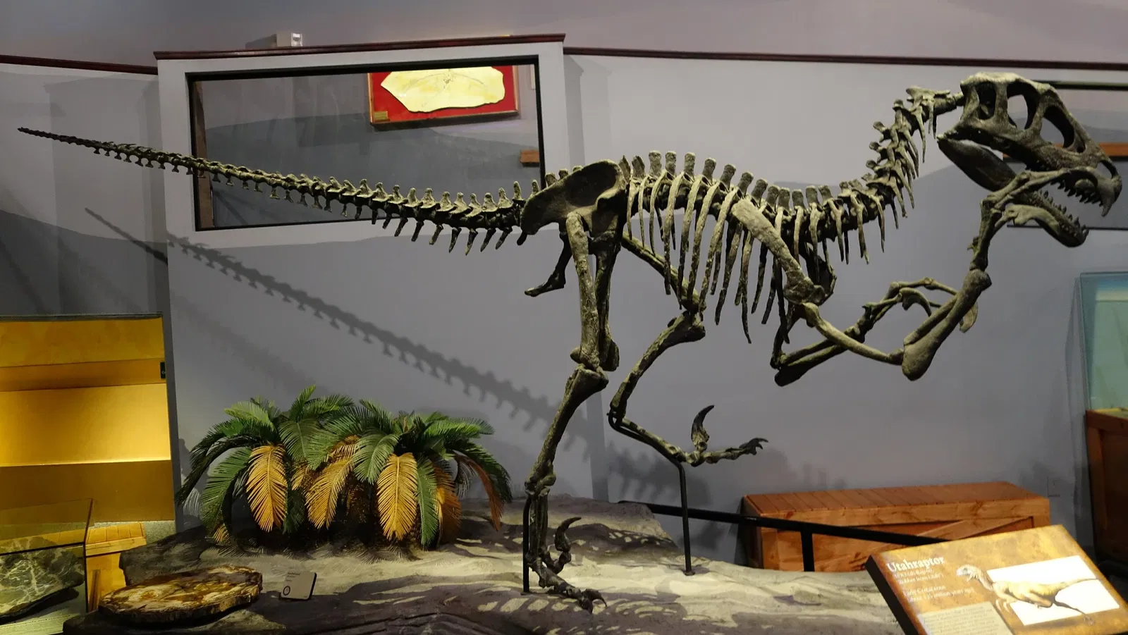 Museum of Ancient Life - Thanksgiving Point