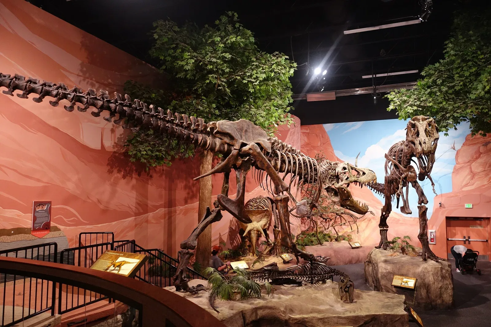 Museum of Ancient Life - Thanksgiving Point