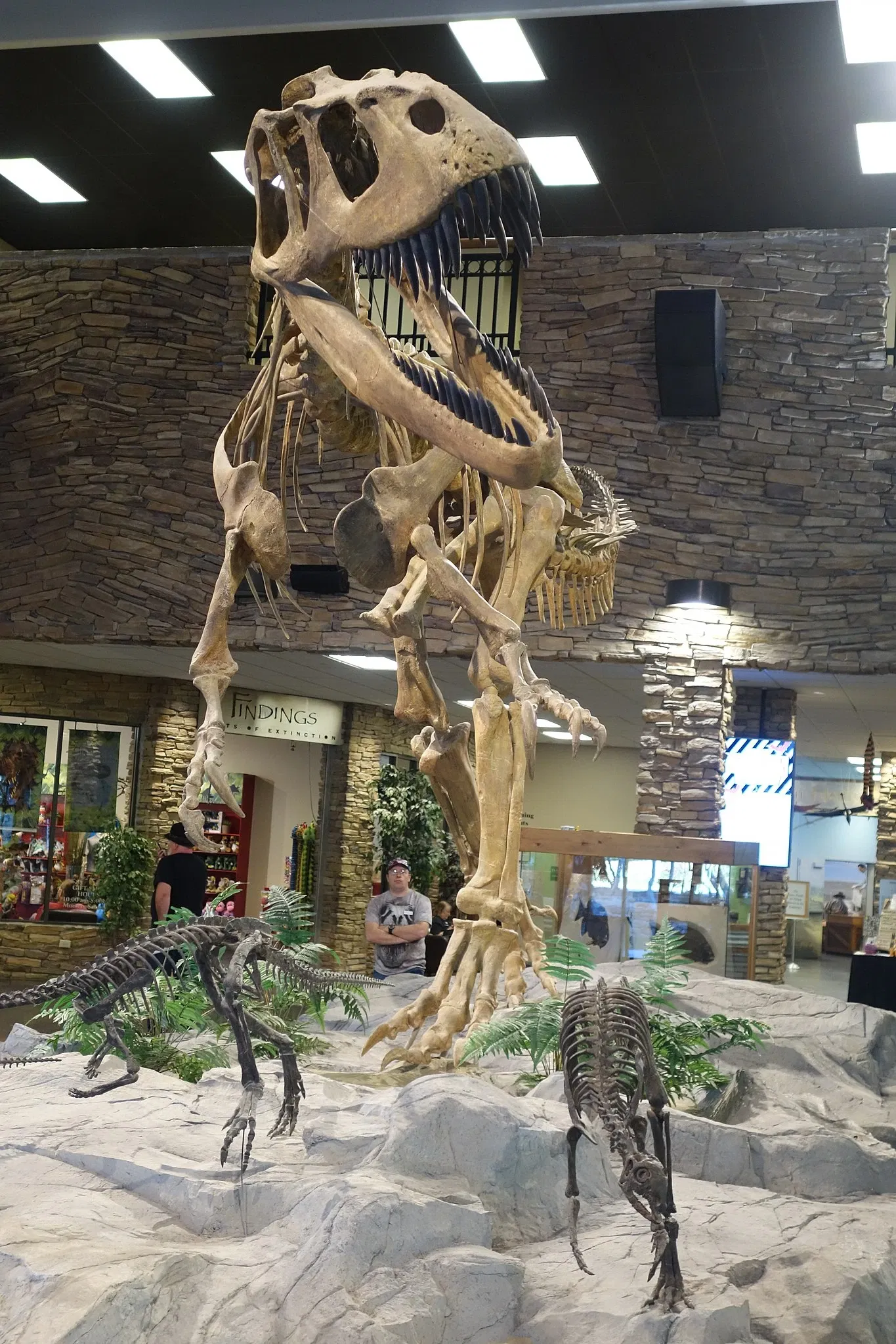 Museum of Ancient Life - Thanksgiving Point