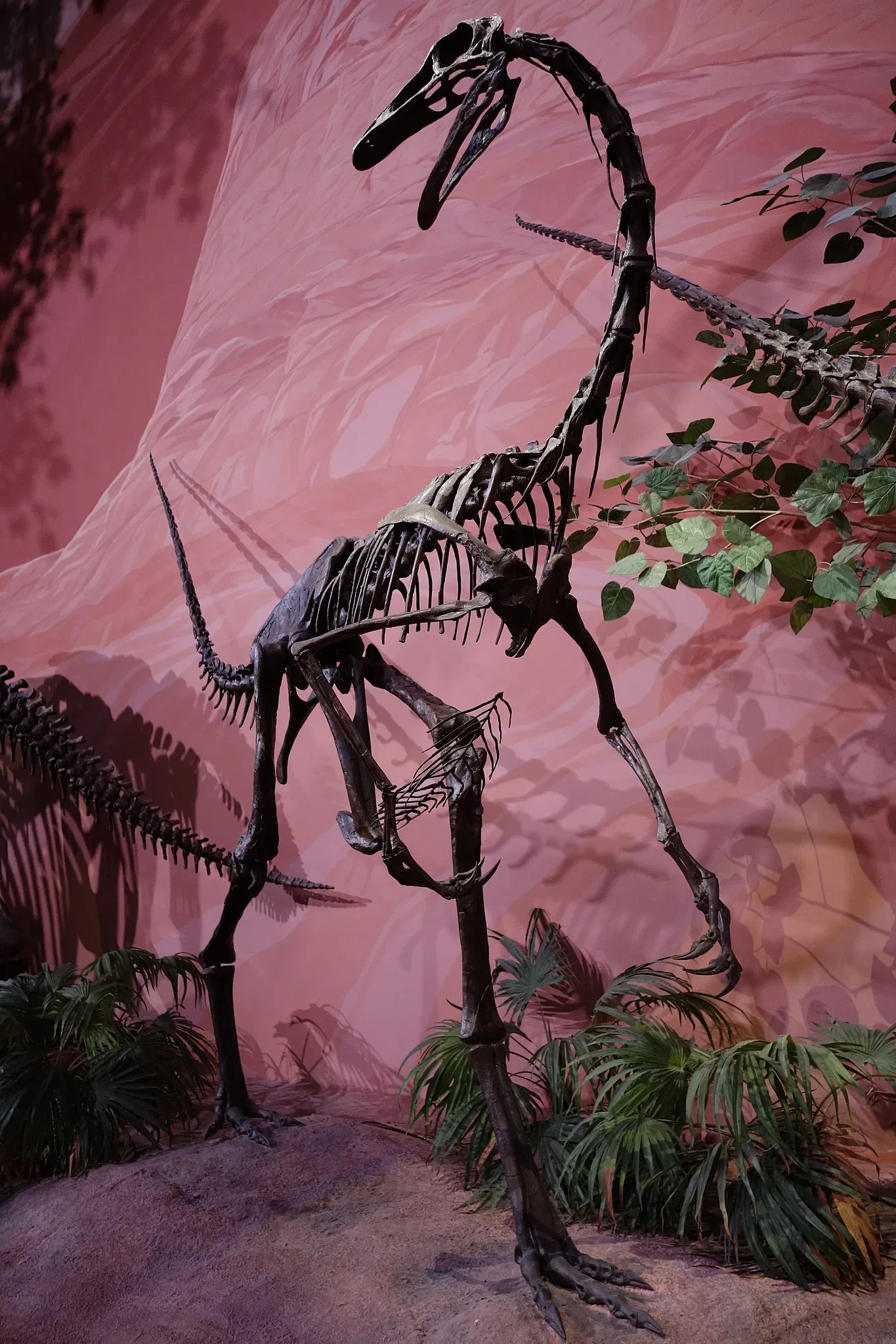 Museum of Ancient Life - Thanksgiving Point