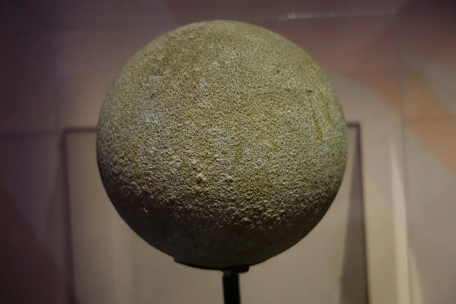 Museum of Ancient Life - Thanksgiving Point