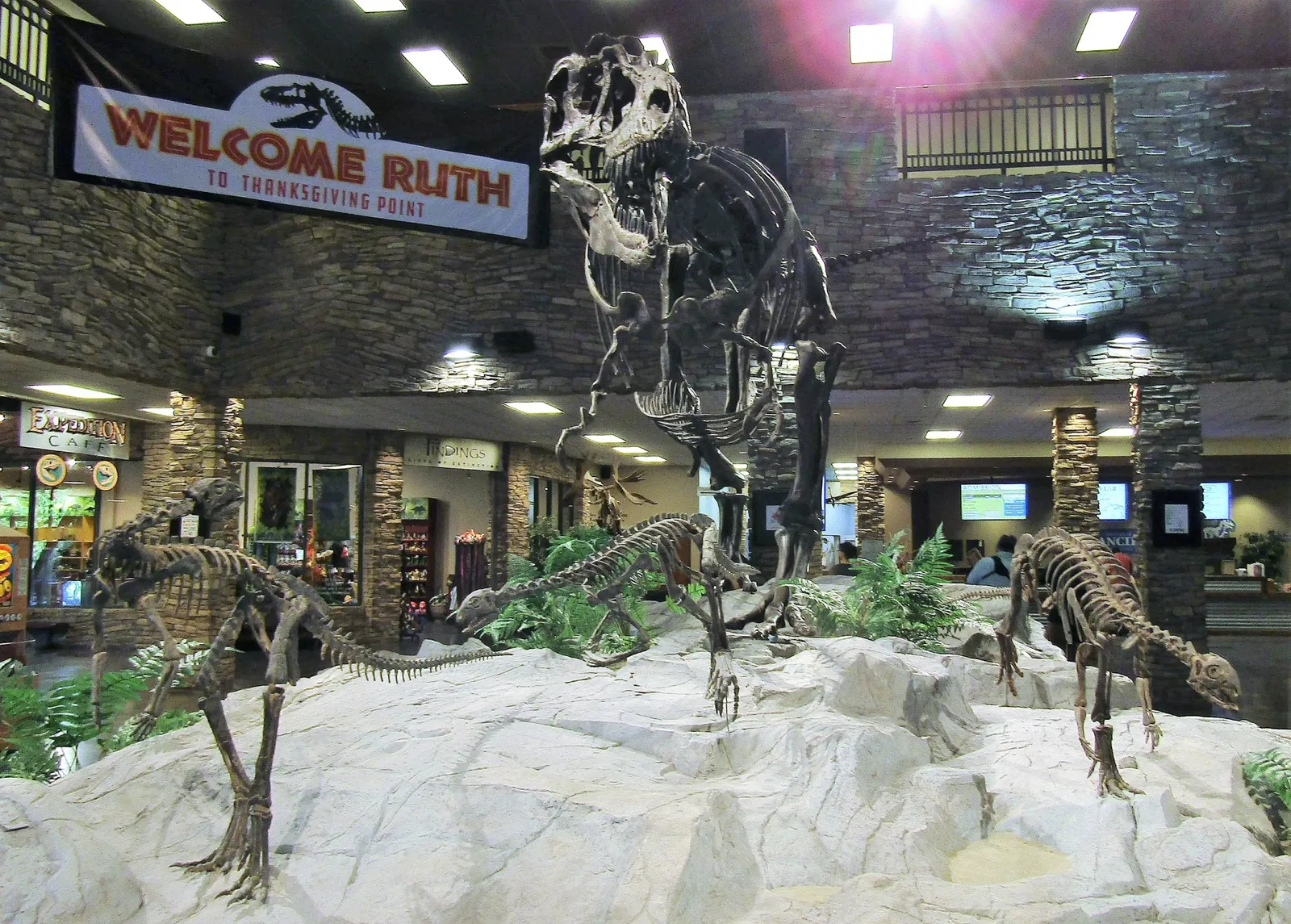 Museum of Ancient Life - Thanksgiving Point