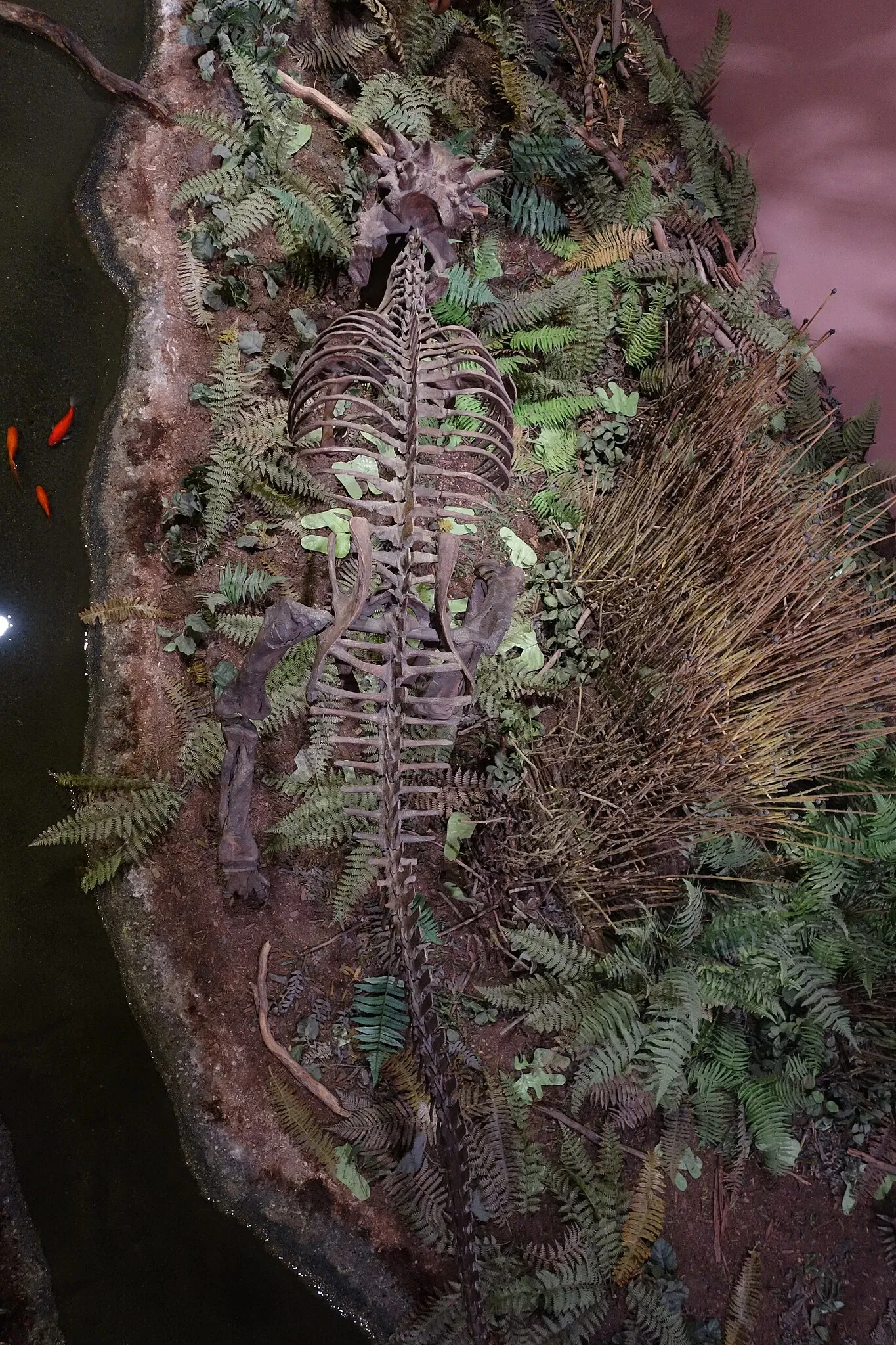 Museum of Ancient Life - Thanksgiving Point