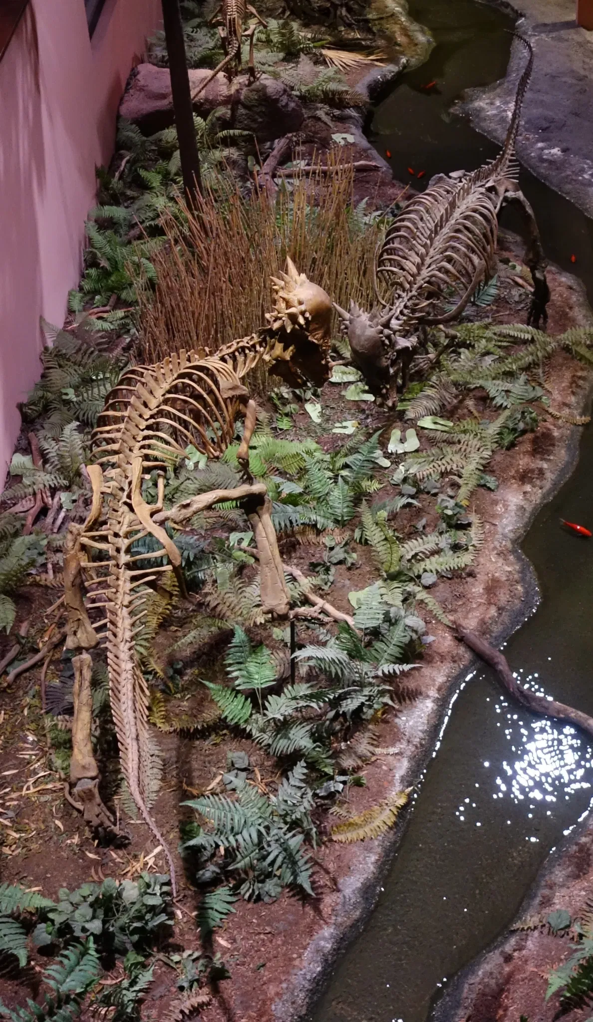 Museum of Ancient Life - Thanksgiving Point