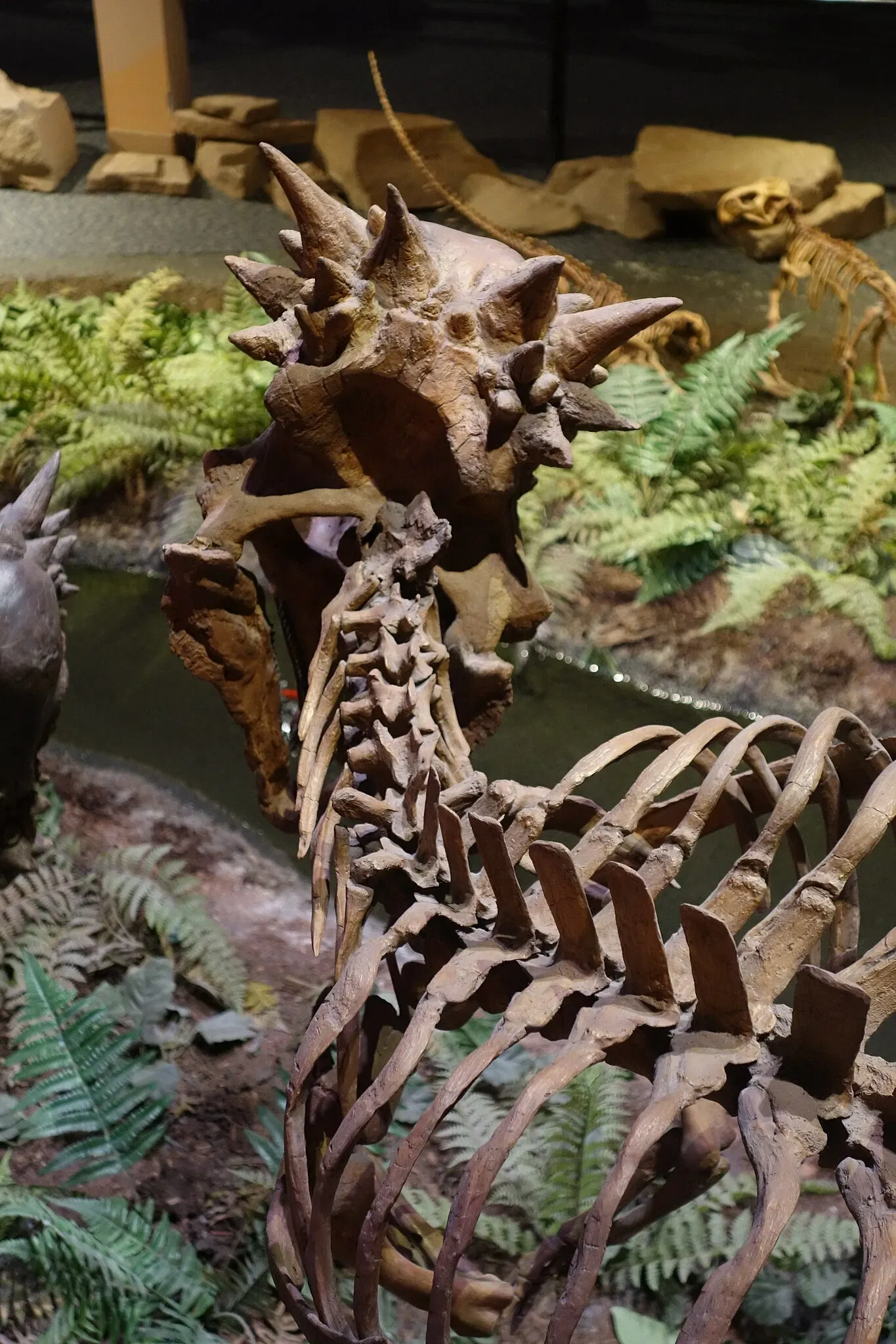 Museum of Ancient Life - Thanksgiving Point