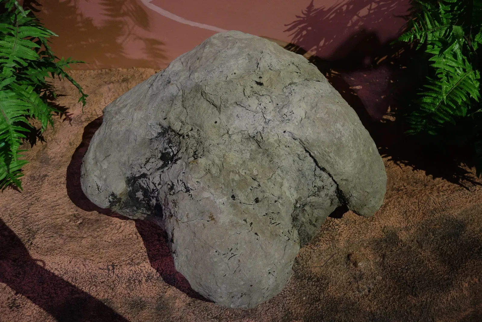 Museum of Ancient Life - Thanksgiving Point