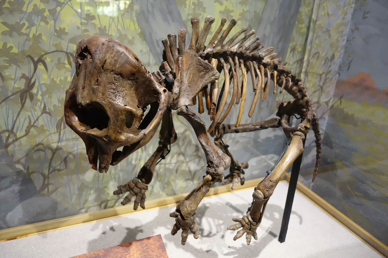 Museum of Ancient Life - Thanksgiving Point