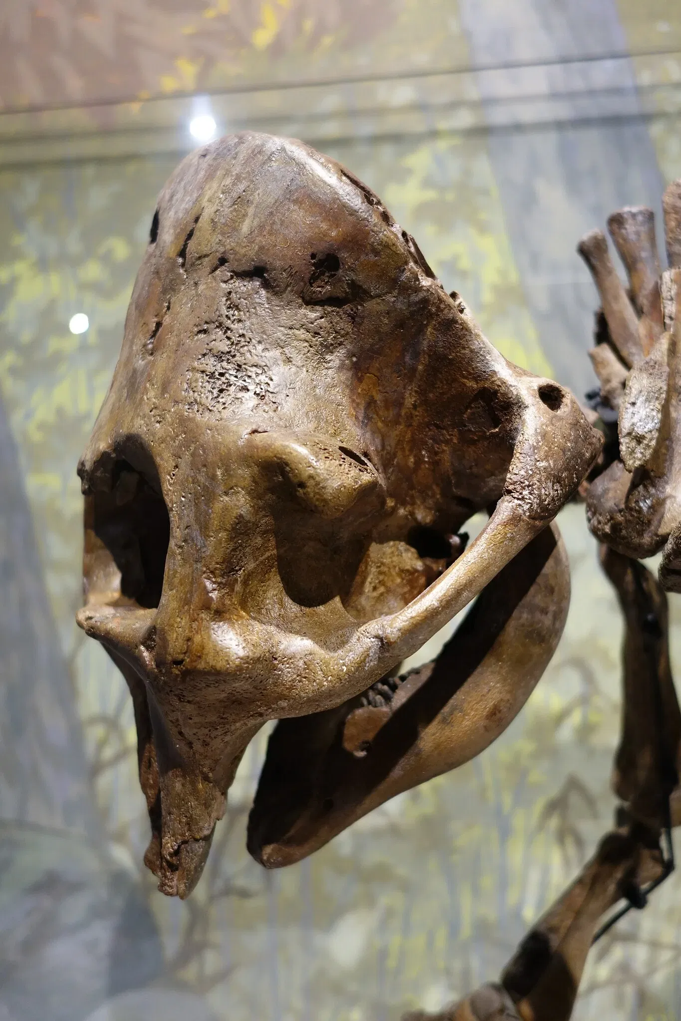 Museum of Ancient Life - Thanksgiving Point