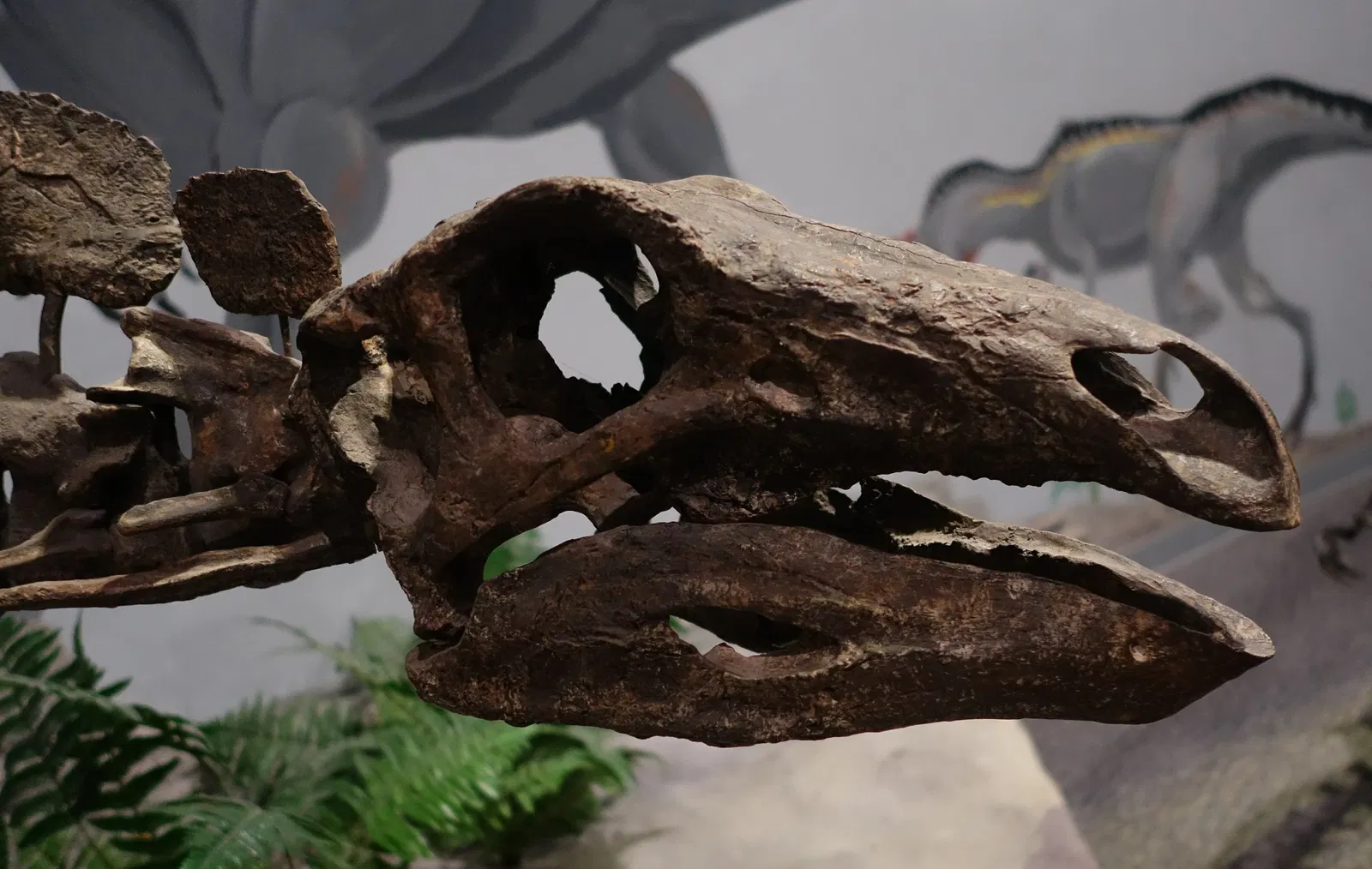 Museum of Ancient Life - Thanksgiving Point