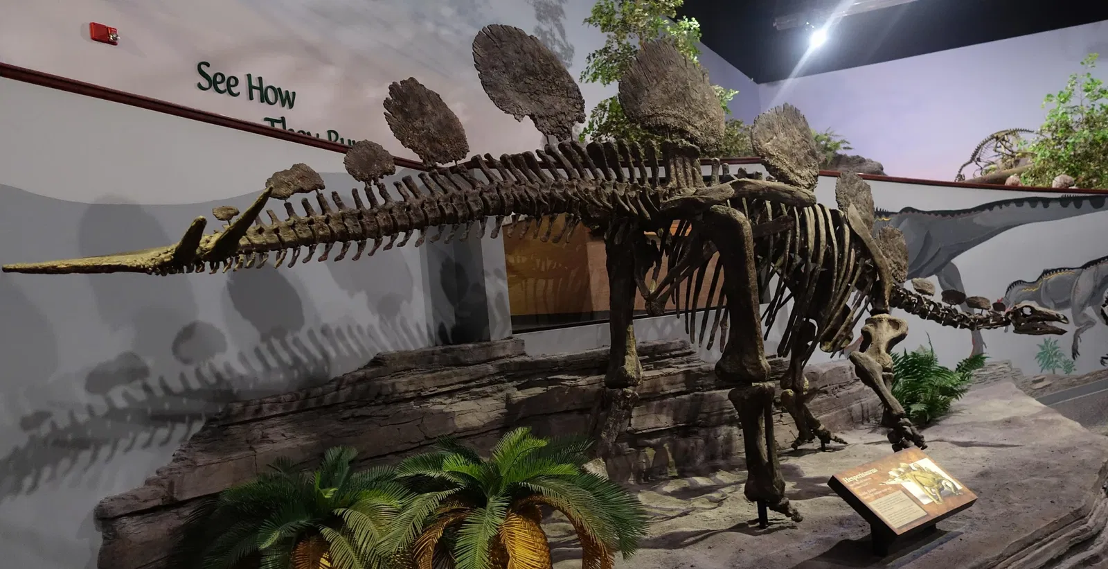 Museum of Ancient Life - Thanksgiving Point