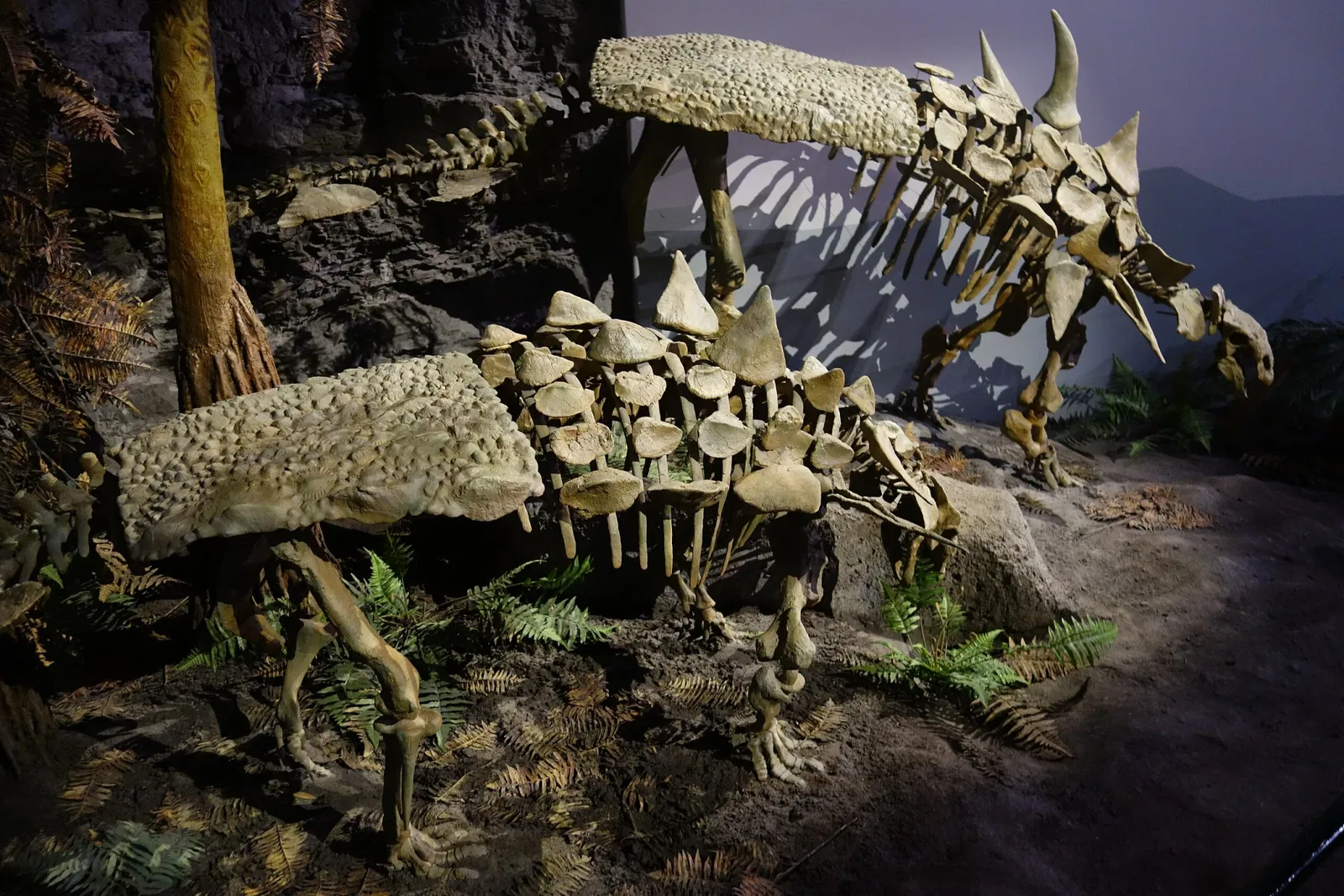 Museum of Ancient Life - Thanksgiving Point