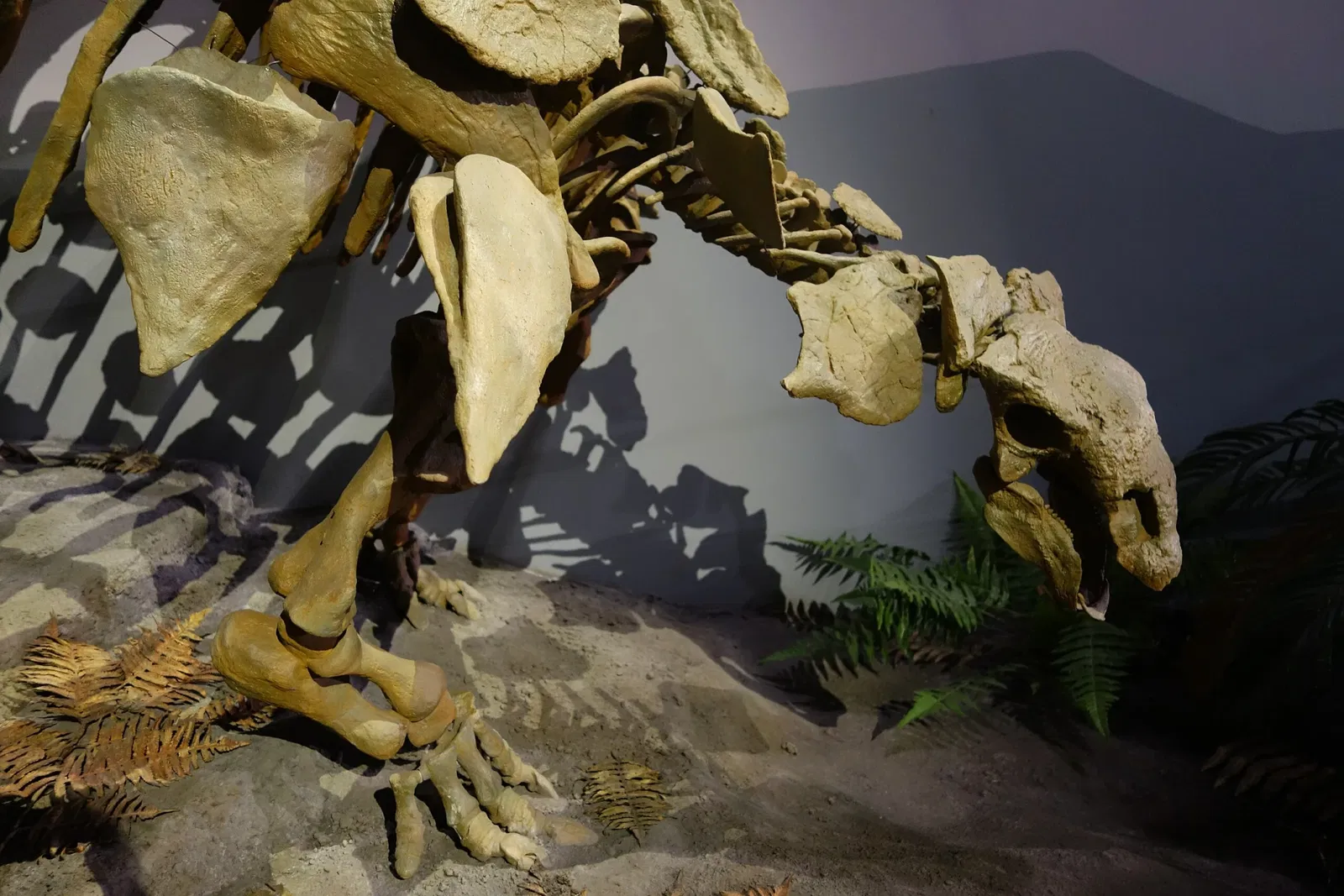 Museum of Ancient Life - Thanksgiving Point