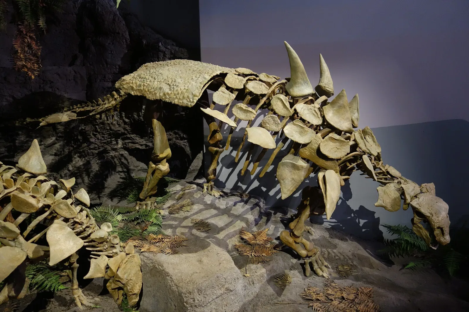 Museum of Ancient Life - Thanksgiving Point