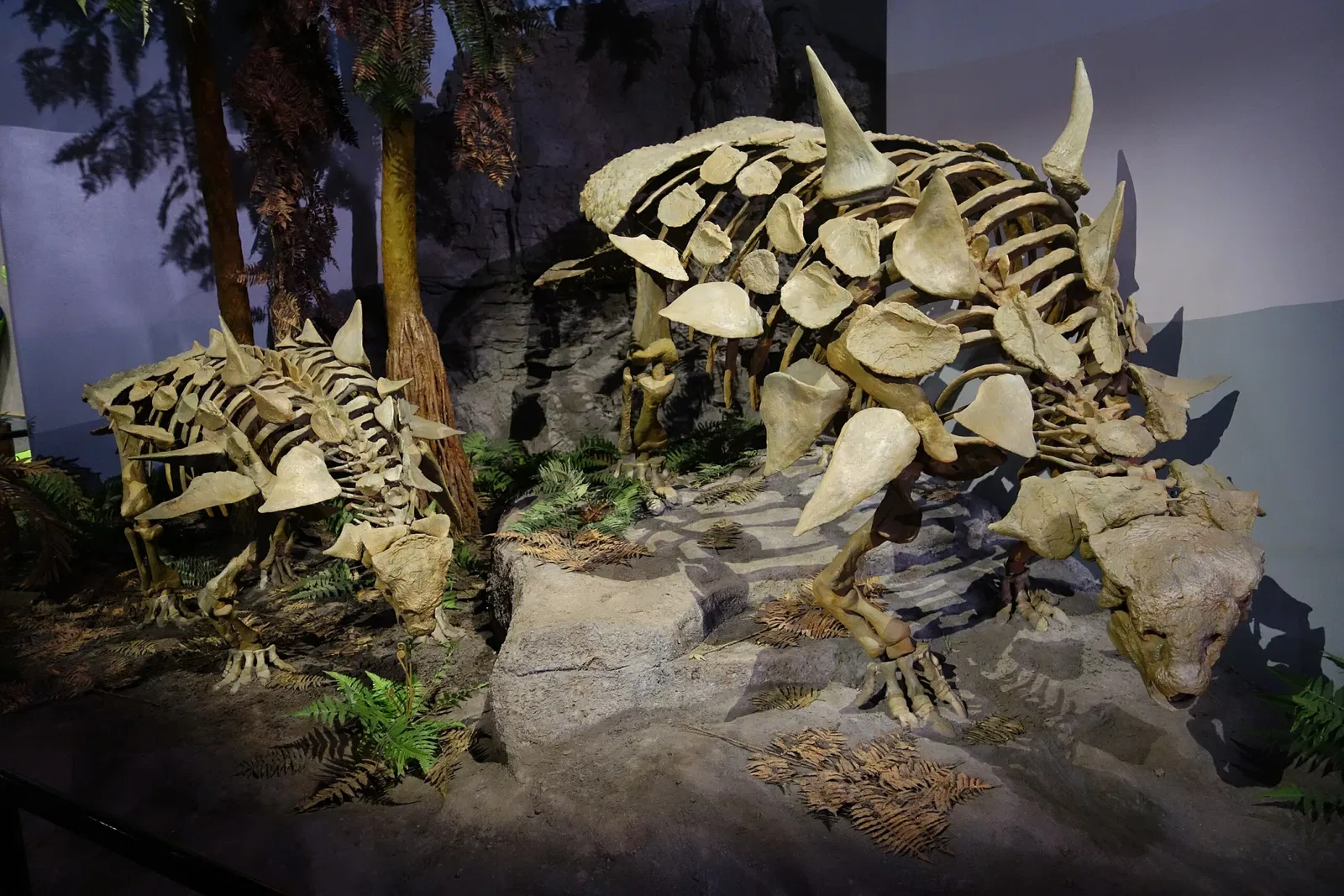 Museum of Ancient Life - Thanksgiving Point