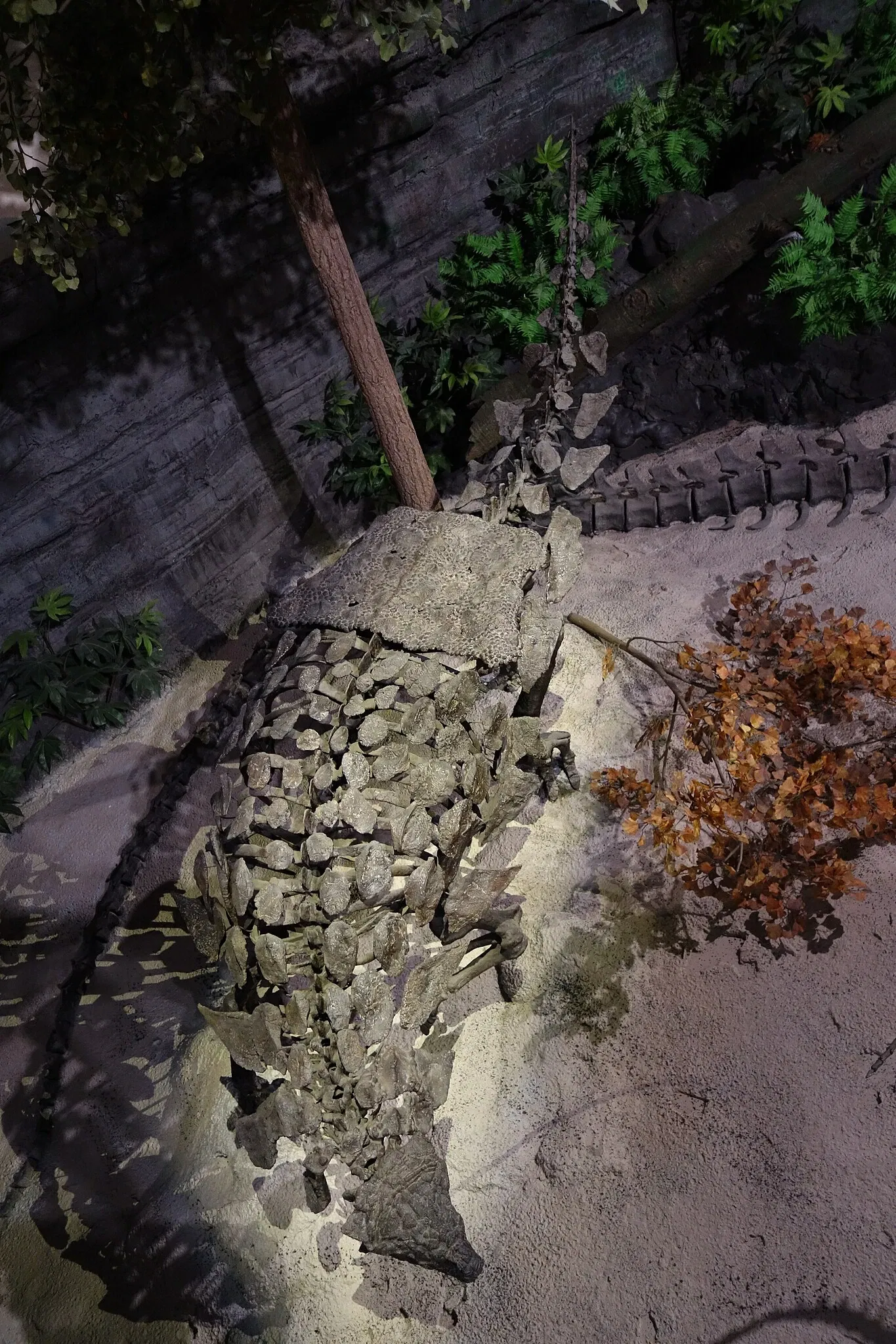 Museum of Ancient Life - Thanksgiving Point