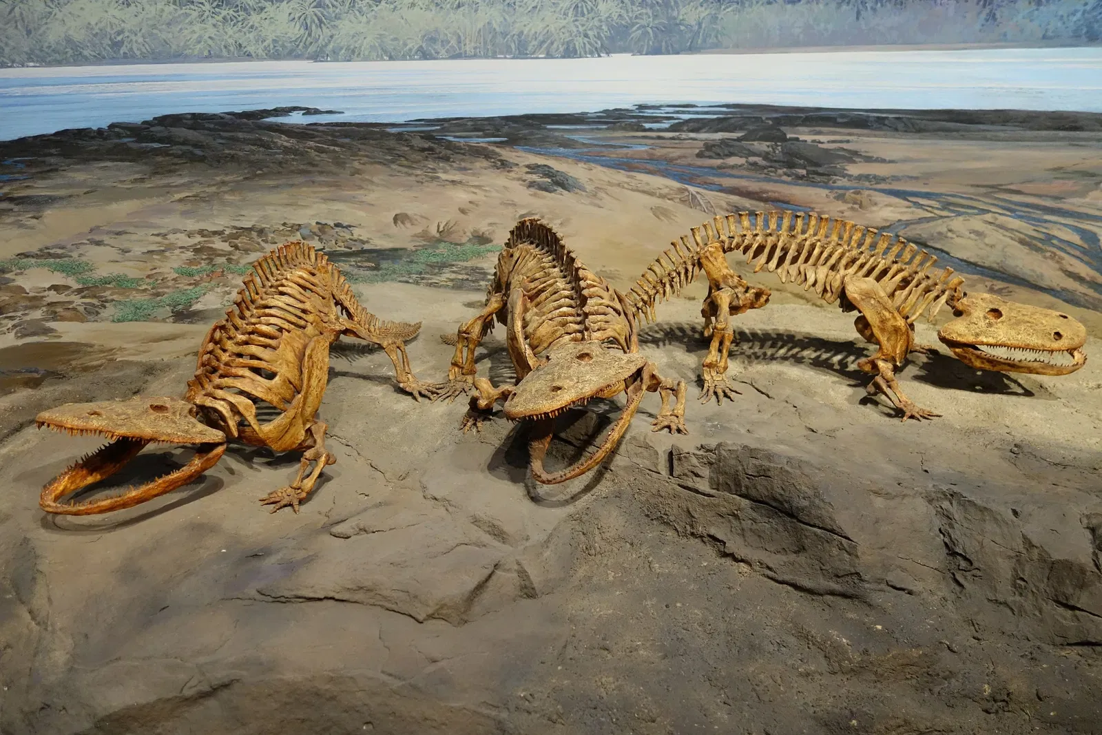 Museum of Ancient Life - Thanksgiving Point