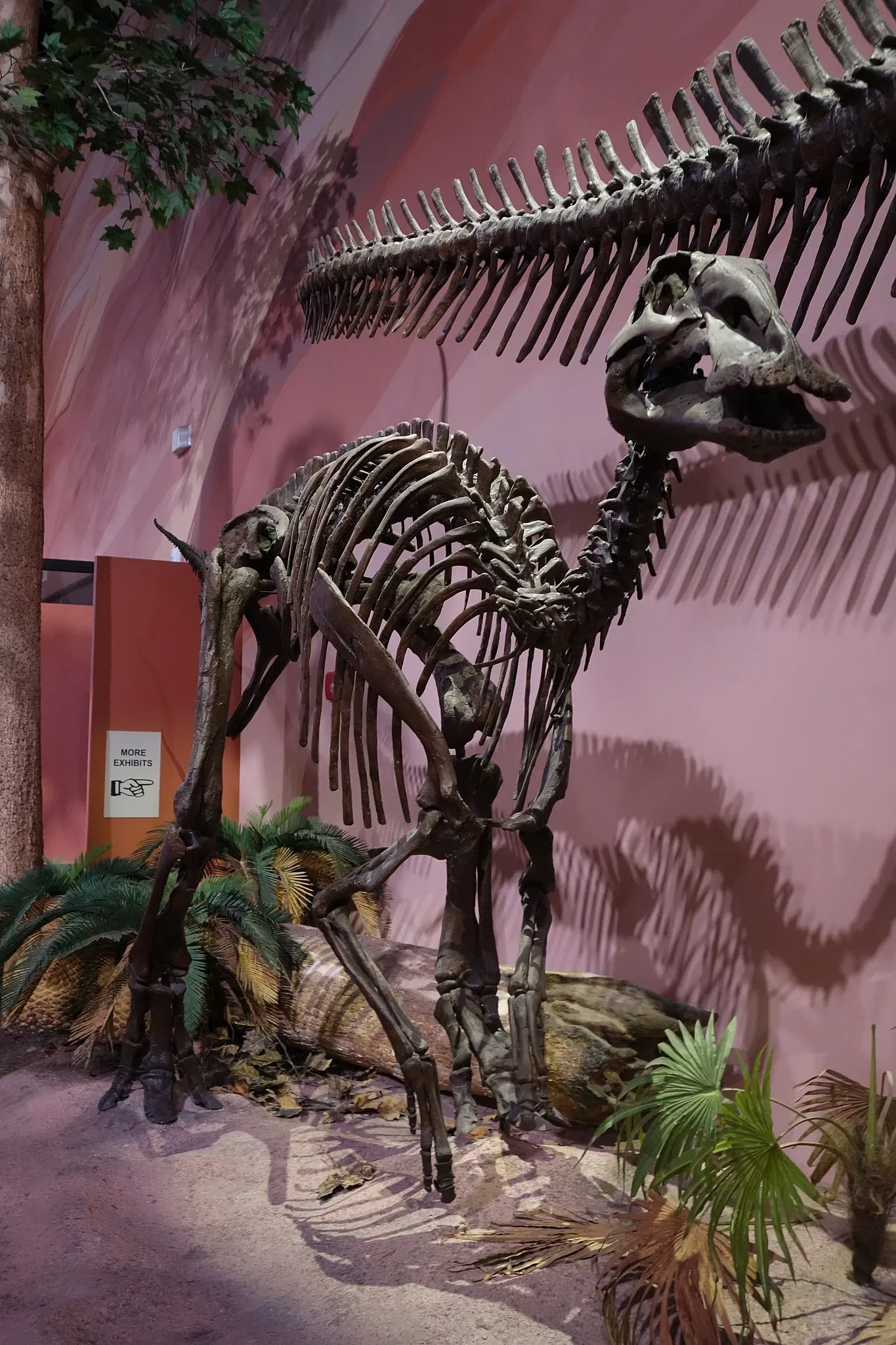 Museum of Ancient Life - Thanksgiving Point