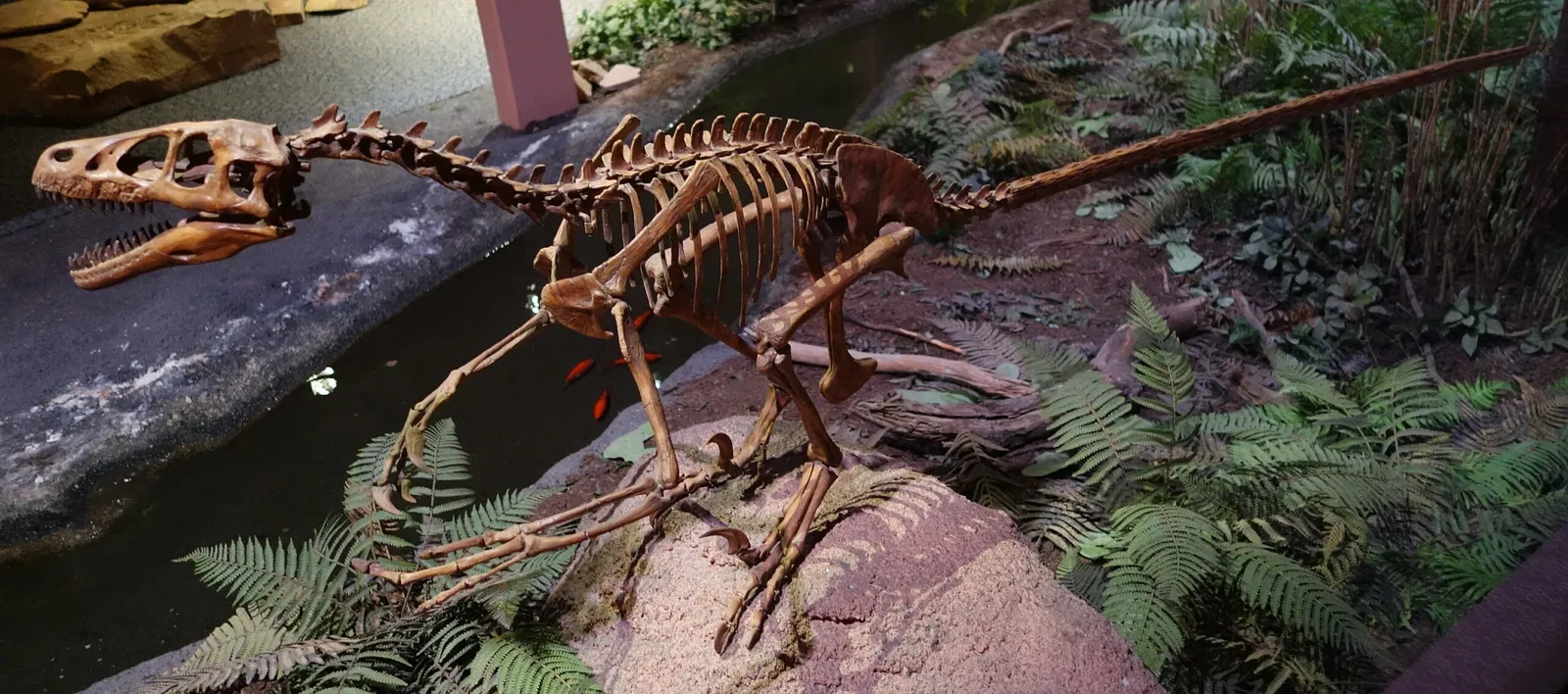 Museum of Ancient Life - Thanksgiving Point