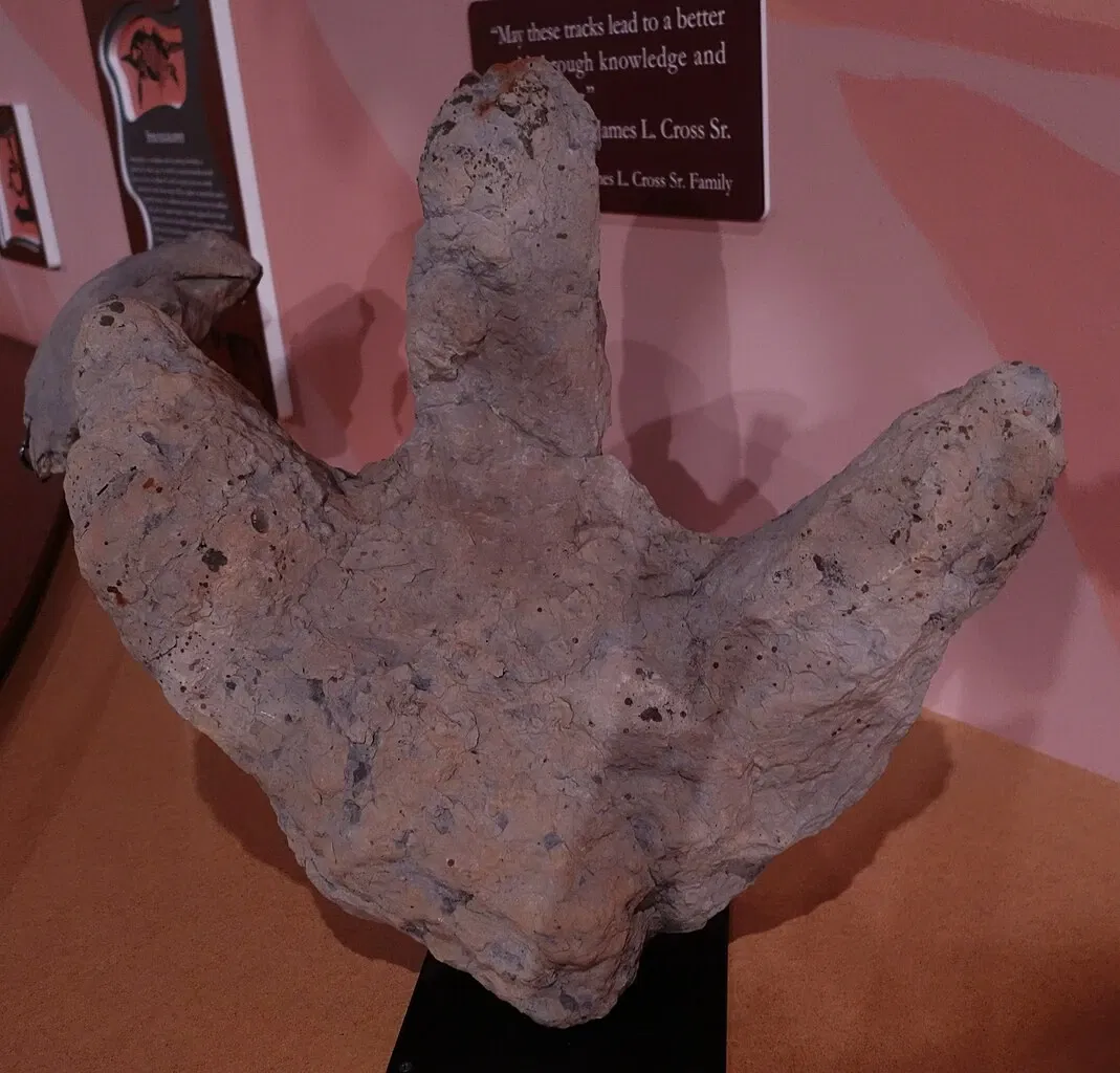 Museum of Ancient Life - Thanksgiving Point