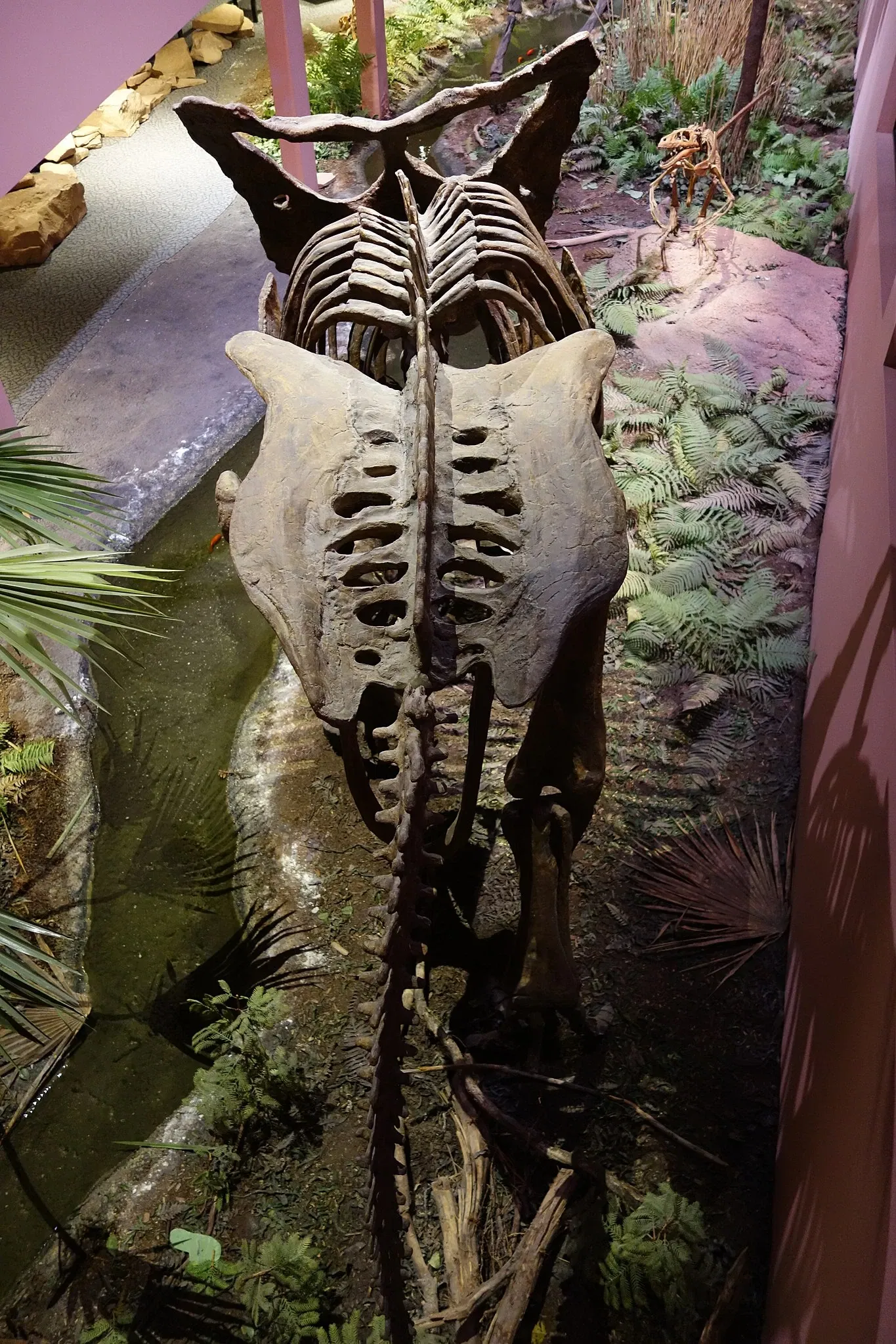 Museum of Ancient Life - Thanksgiving Point