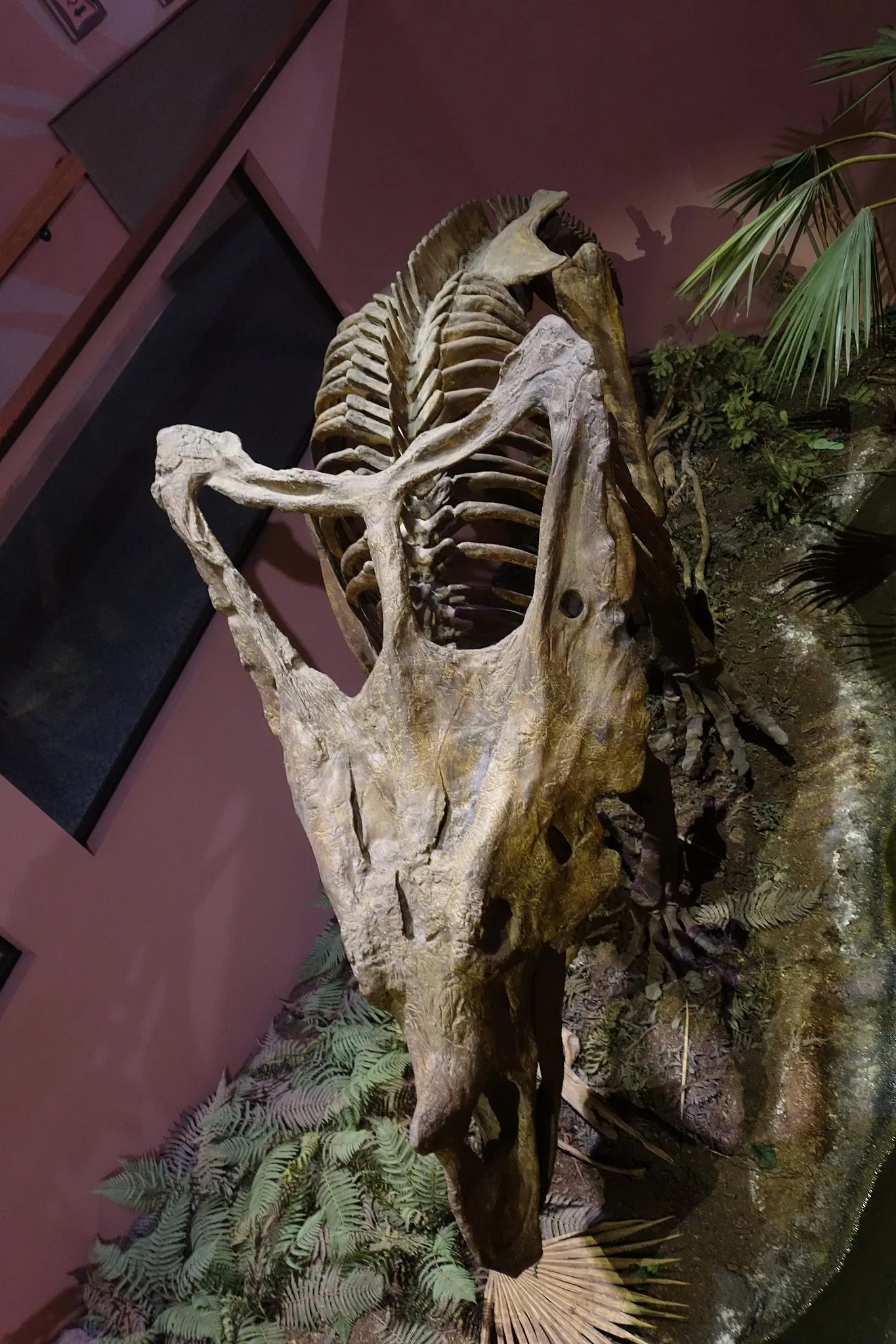 Museum of Ancient Life - Thanksgiving Point