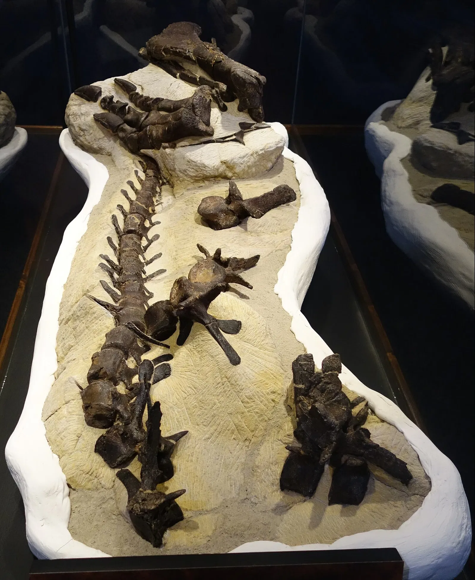 Museum of Ancient Life - Thanksgiving Point