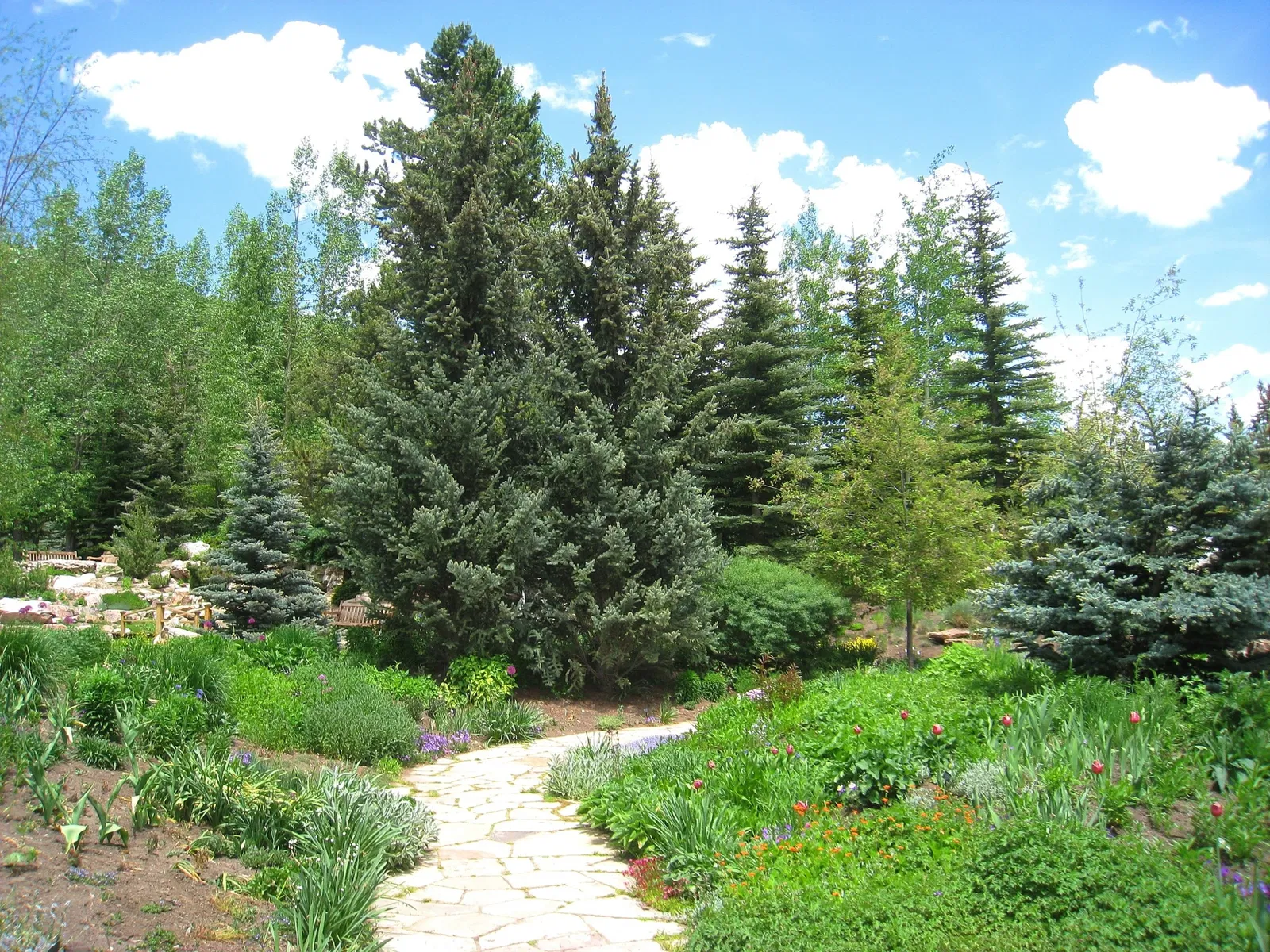 Betty Ford Alpine Gardens Education Center